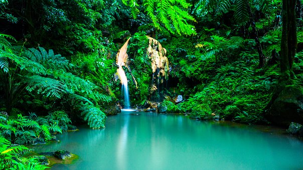  Landscape Azores Oasis Forest Portugal Waterfall 