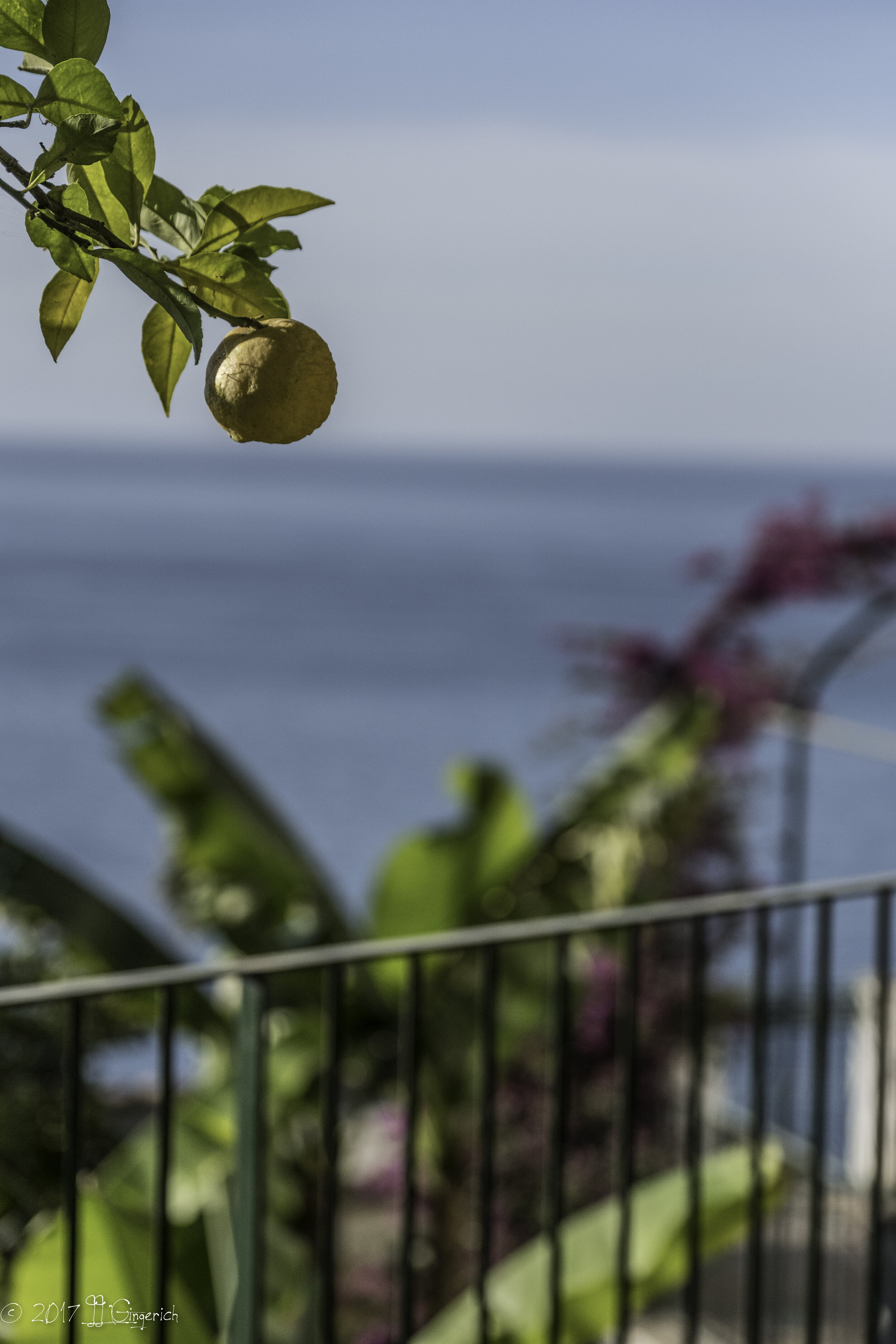 AMALFI COAST AND BEYOND0121.jpg