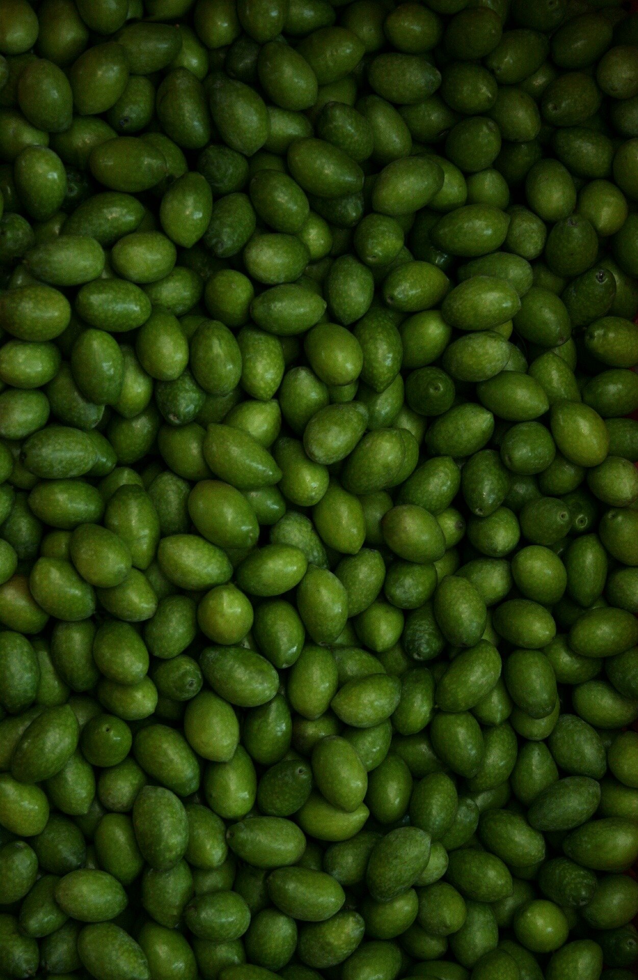 olives-green harvested 536147_1920.jpg