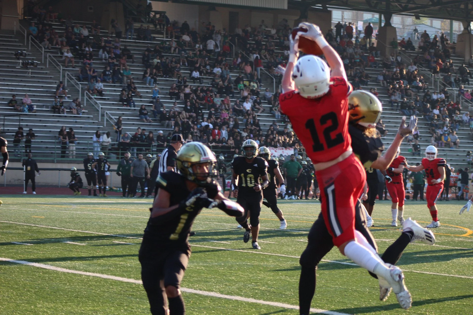 Trenton Sawnson.jpeg