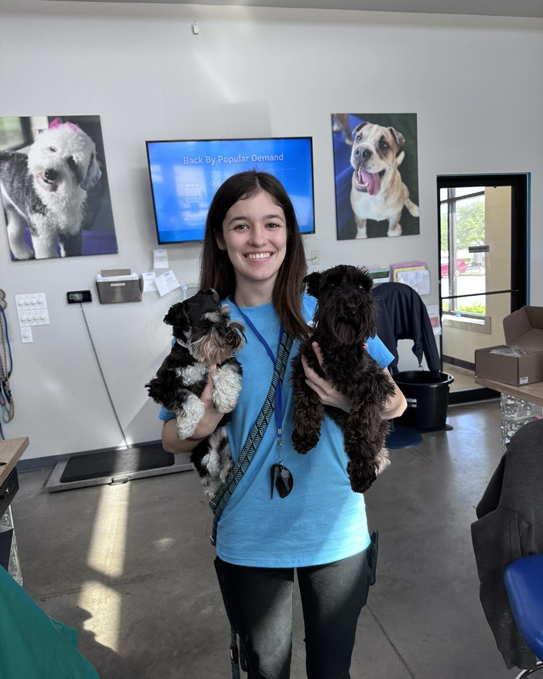 Did you know that we can do local transports in the DFW area? Here&rsquo;s Jaxxon and Peaches being dropped off at Pets Paradise in Plano for a little boarding stay ☺️. Let us know if we could help take your furbabies to the vet, groomer, or boarding