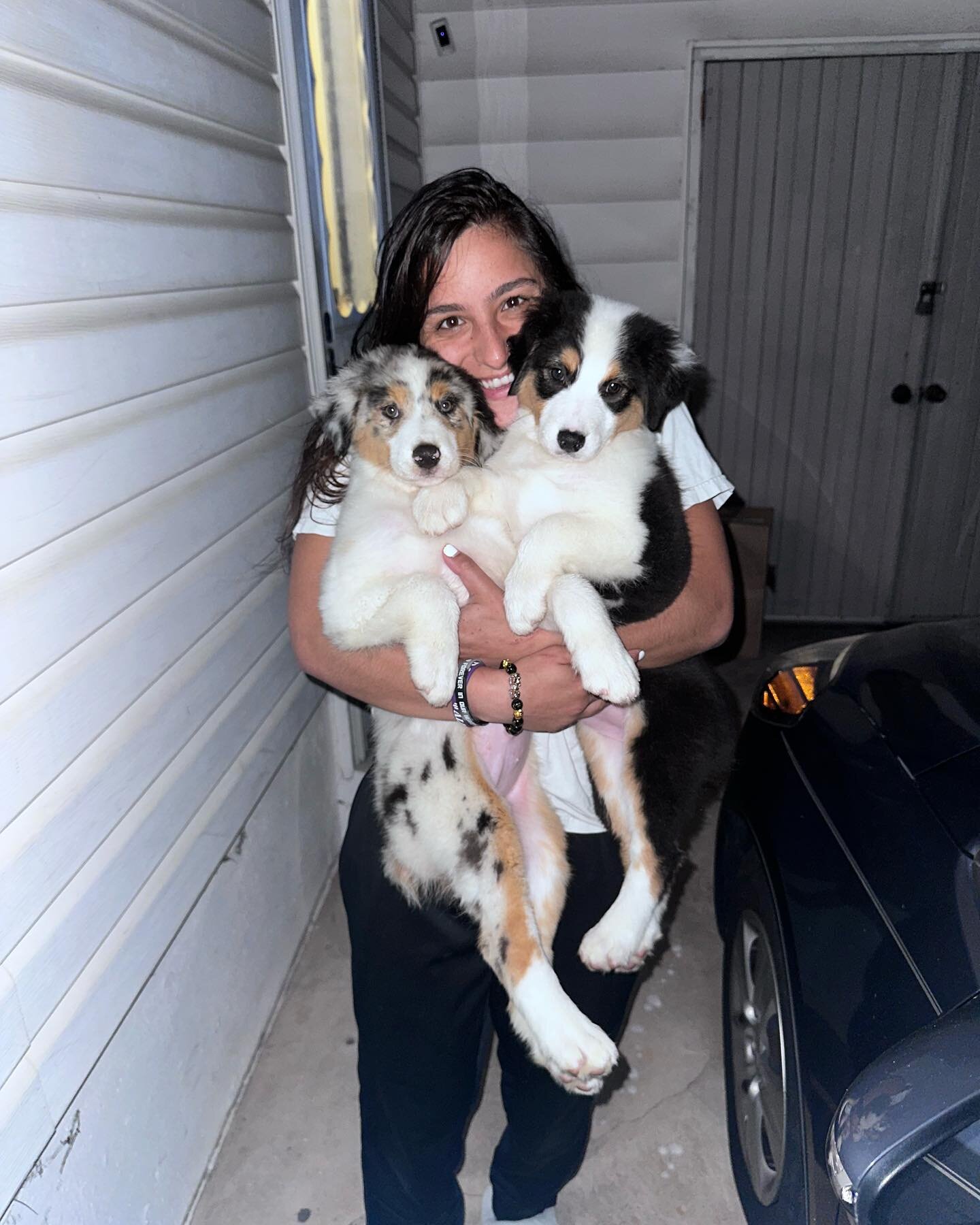 My oh my we had some good looking Aussie pups aboard! Briarbrook Aussies has some amazing, beautiful pups in Missouri! So glad they let us take these pups to their home in PA. 
Had to include a picture of my Marlee as well cuz she&rsquo;s a pretty go