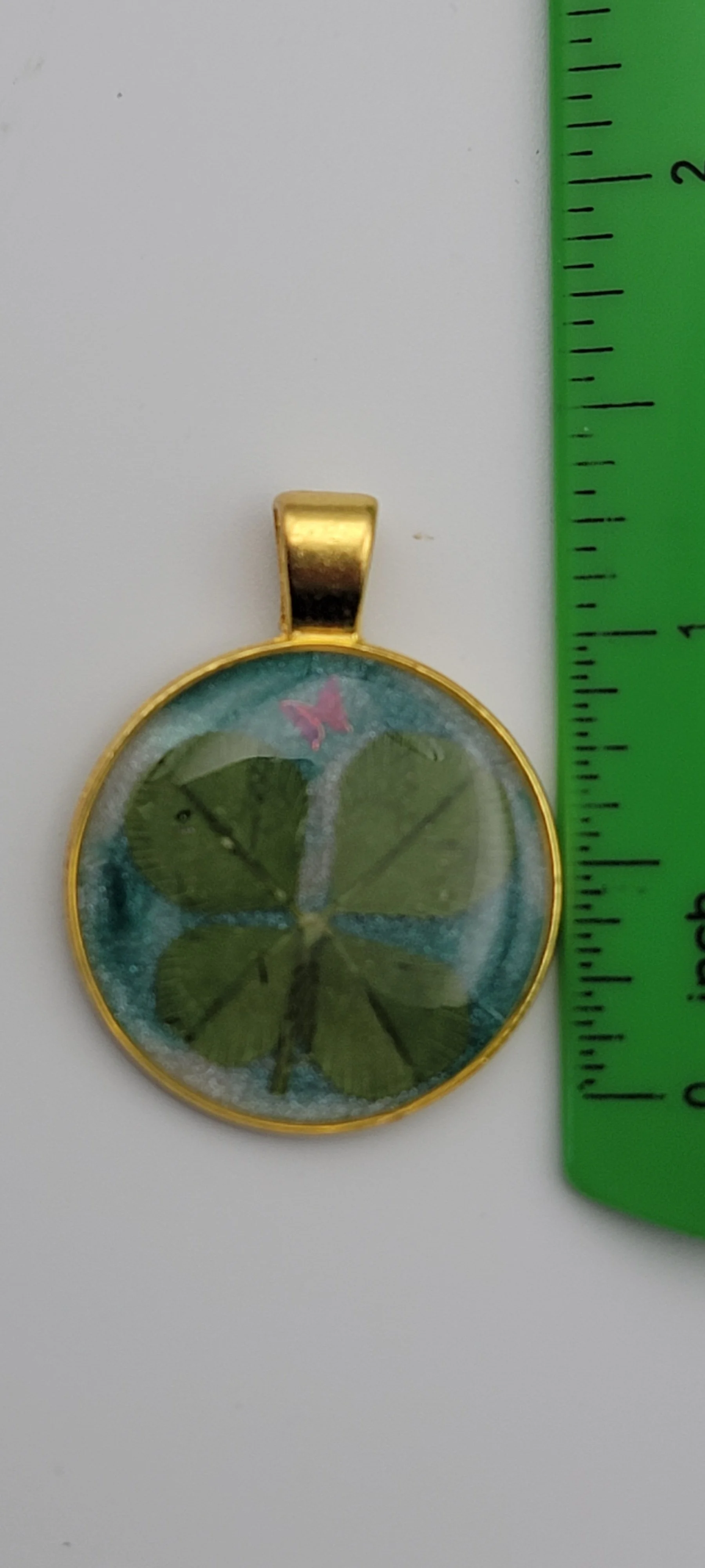 1000072090.jpg
