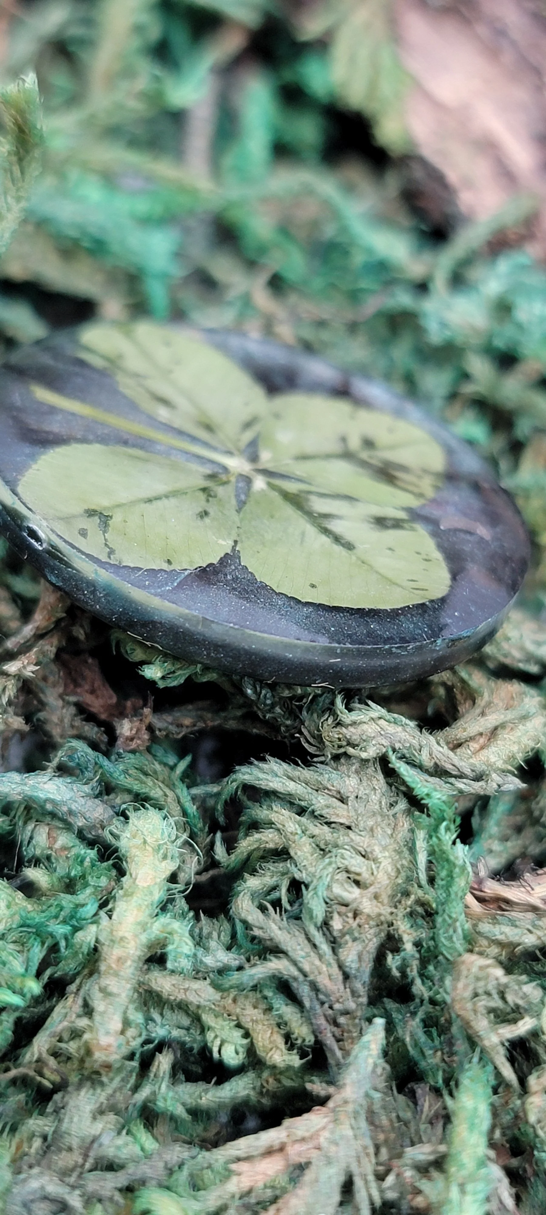 1000072222.jpg