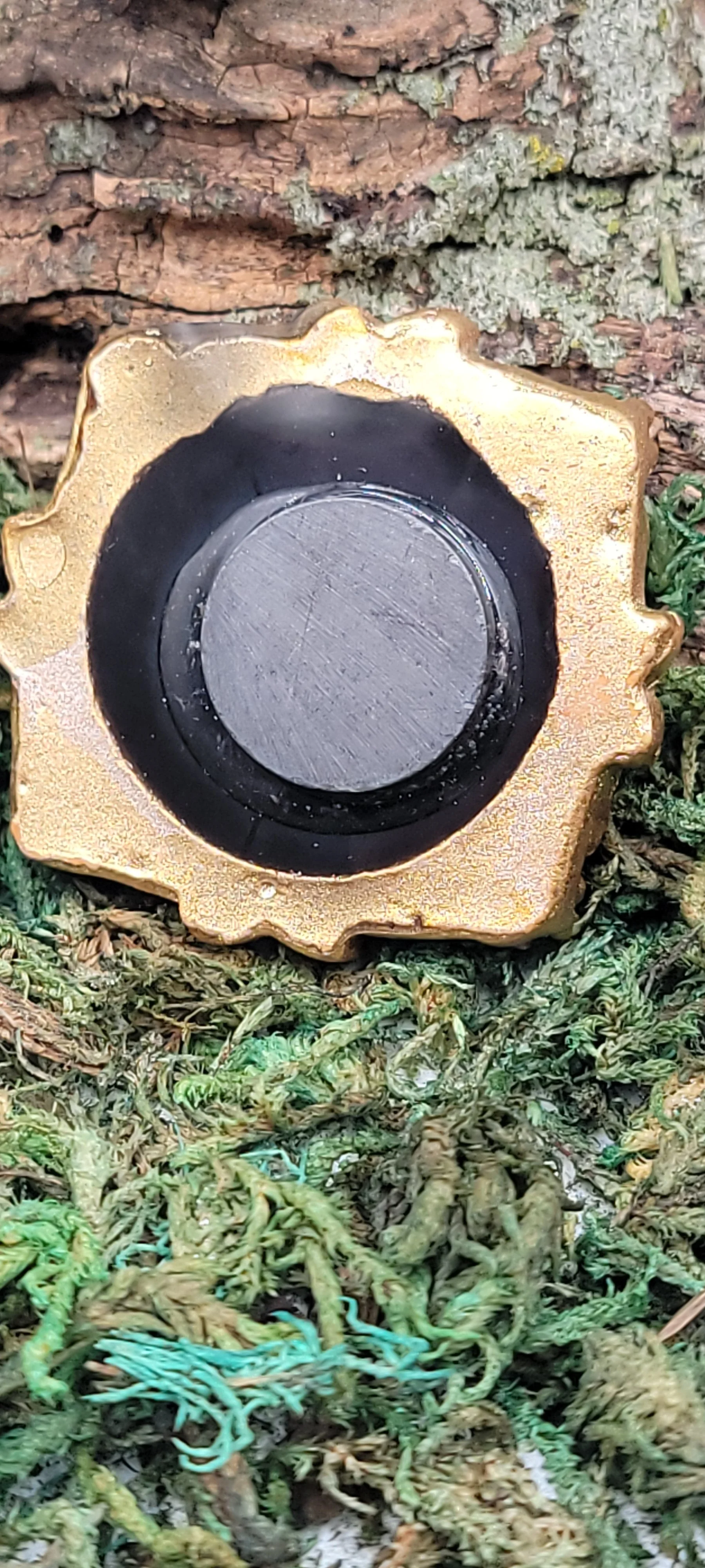 1000072032.jpg