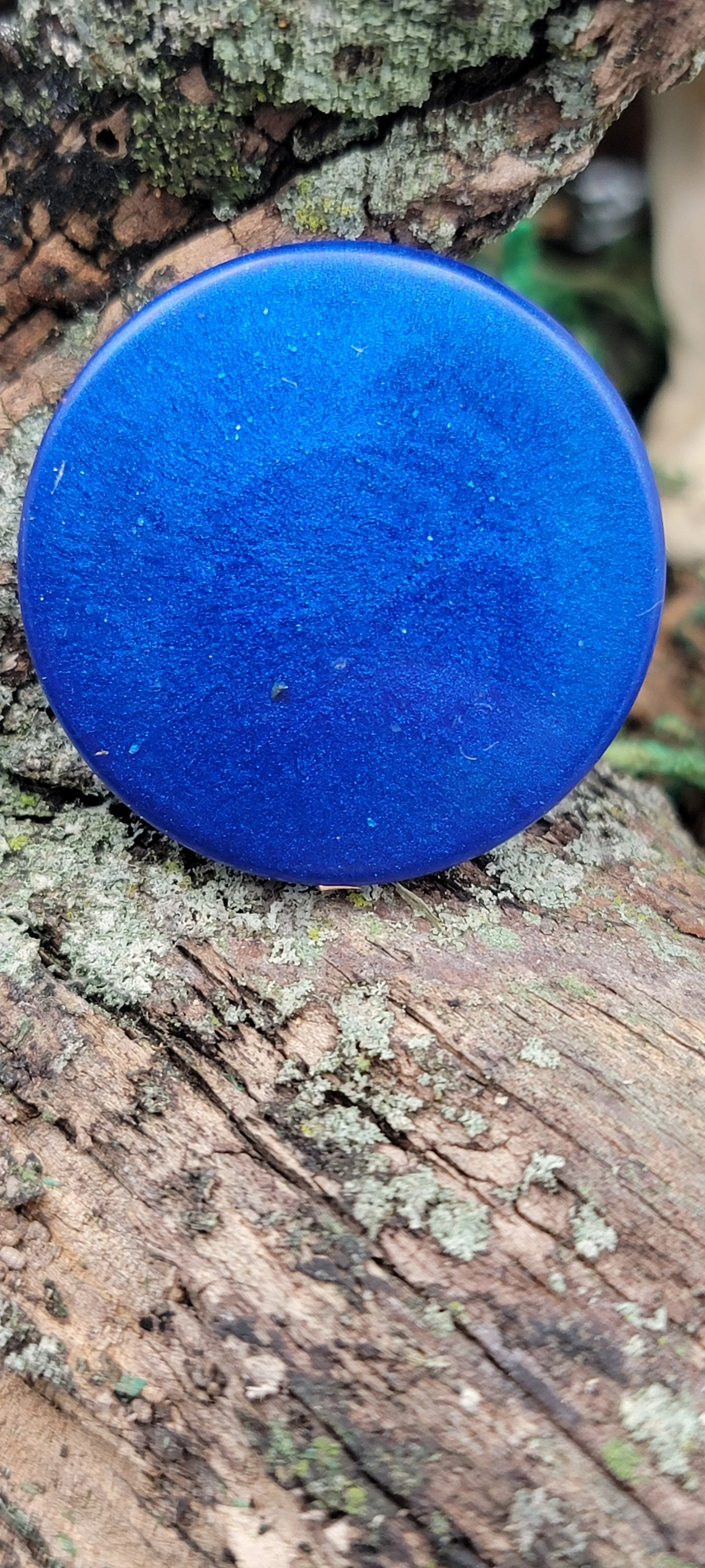 1000072217.jpg