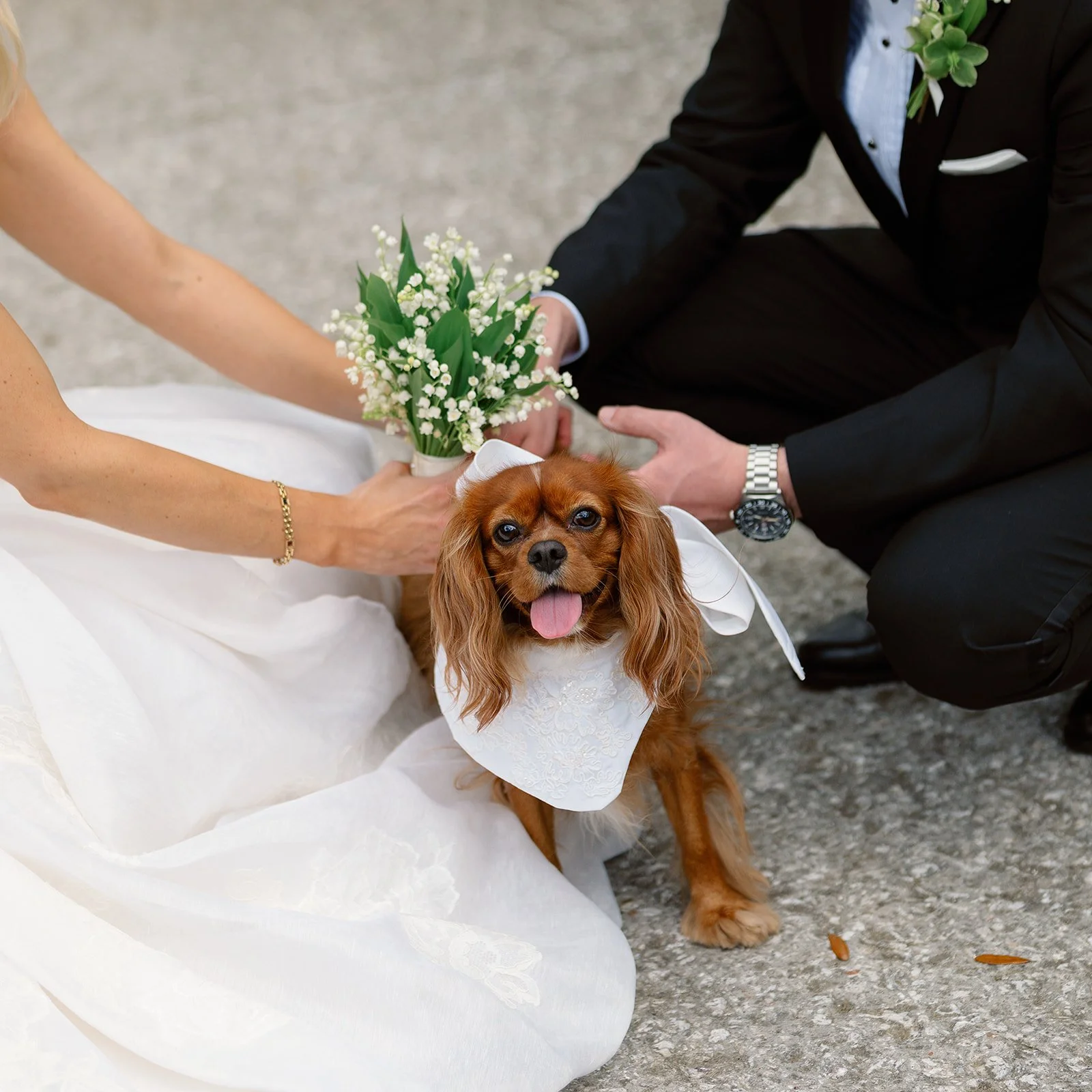 4. FIRSTLOOKS111.jpg