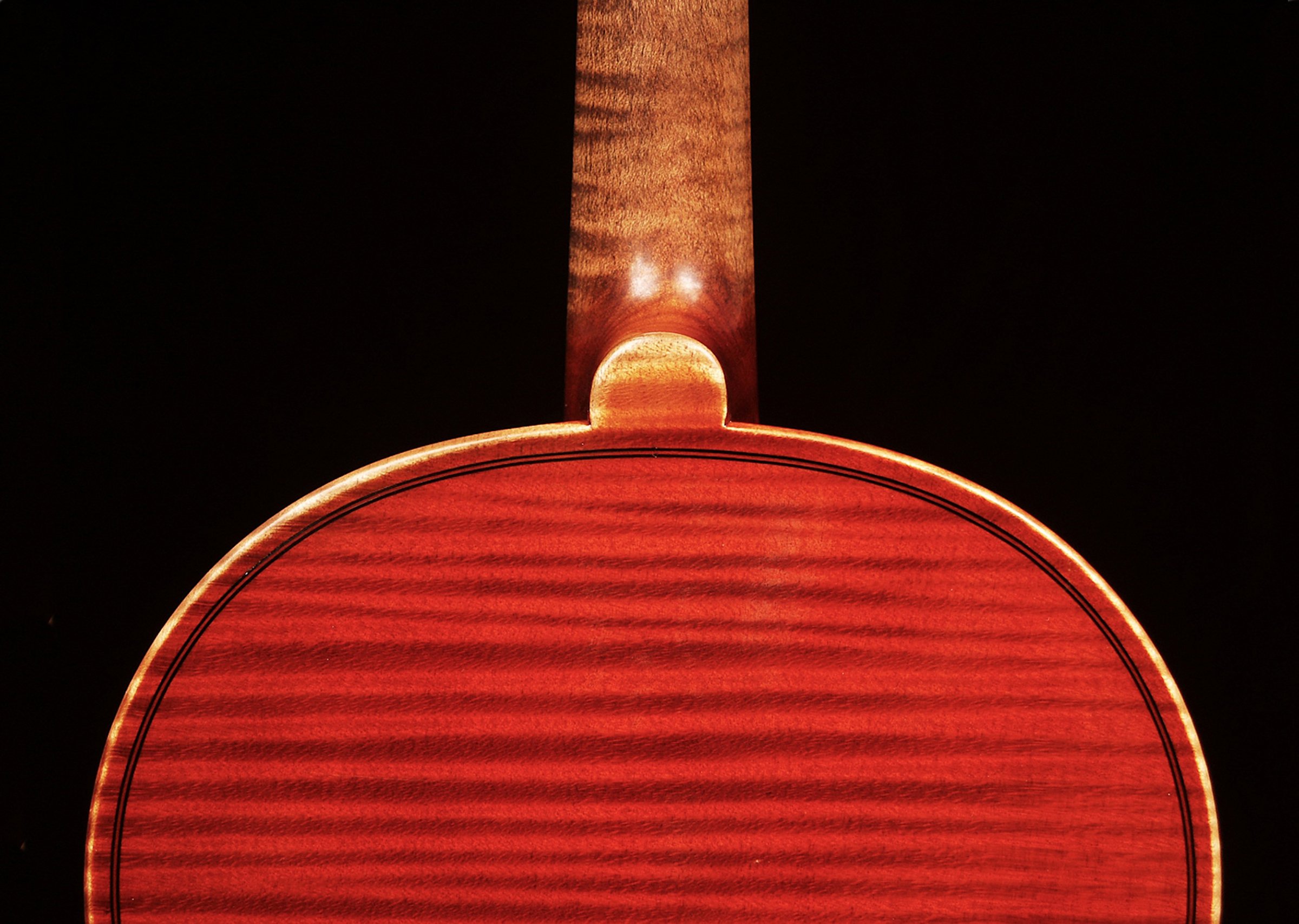 Violin Gand&ber2 copy 6.jpg