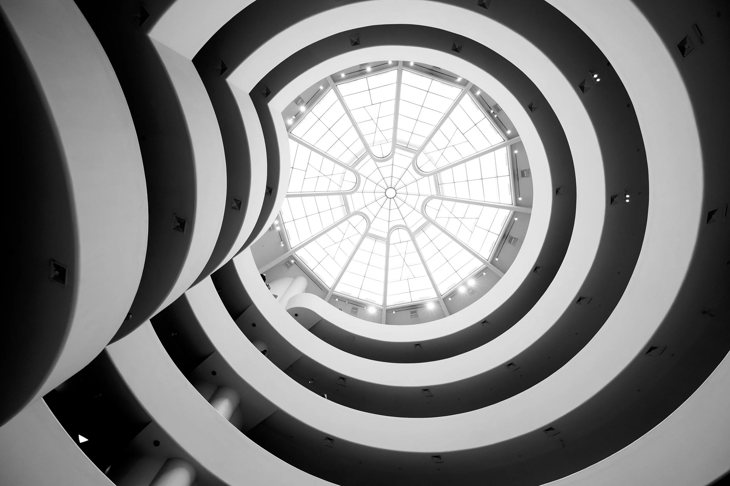 Guggenheim 8486 lg copy.jpg
