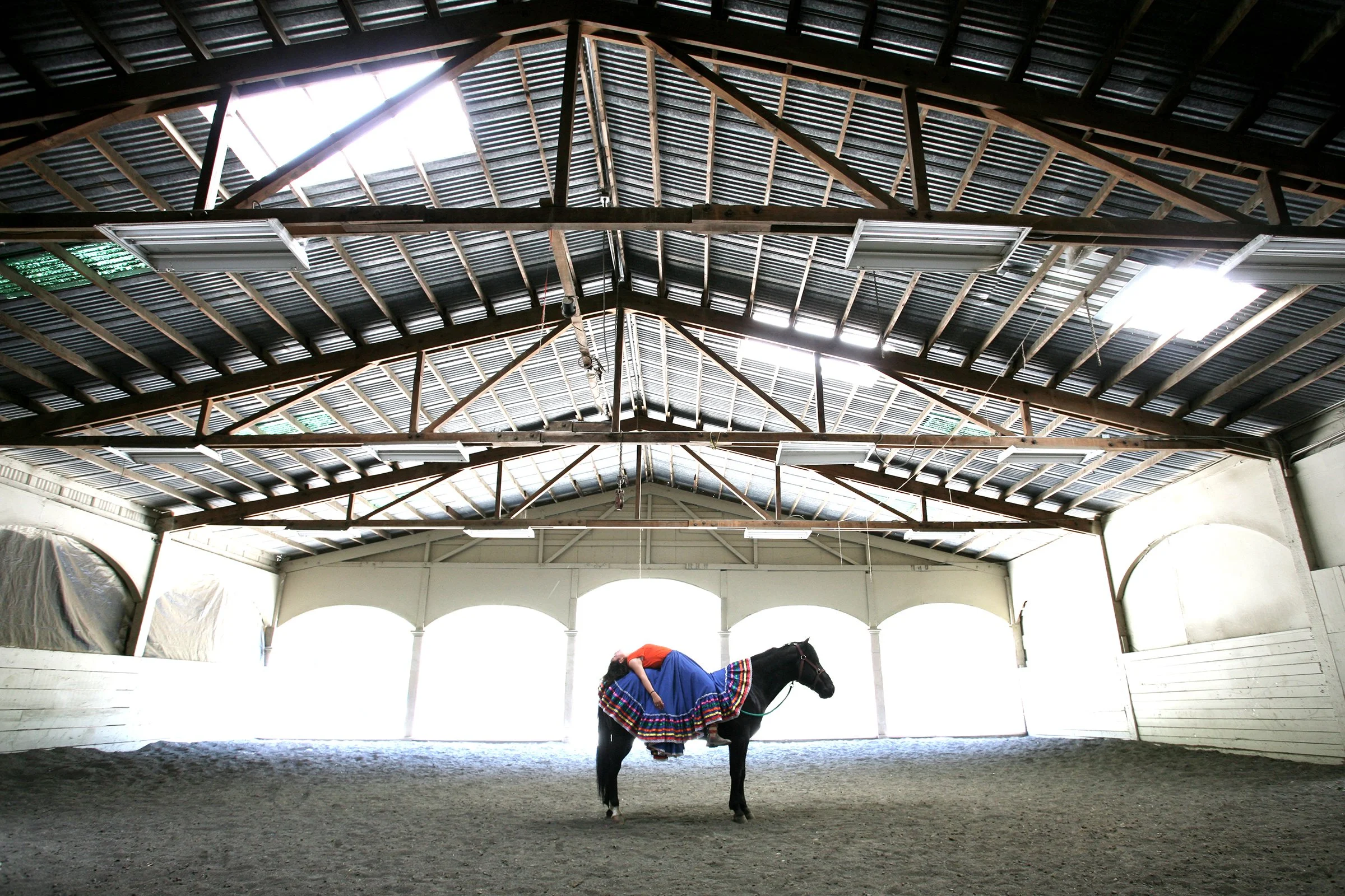 horseplay.jpg