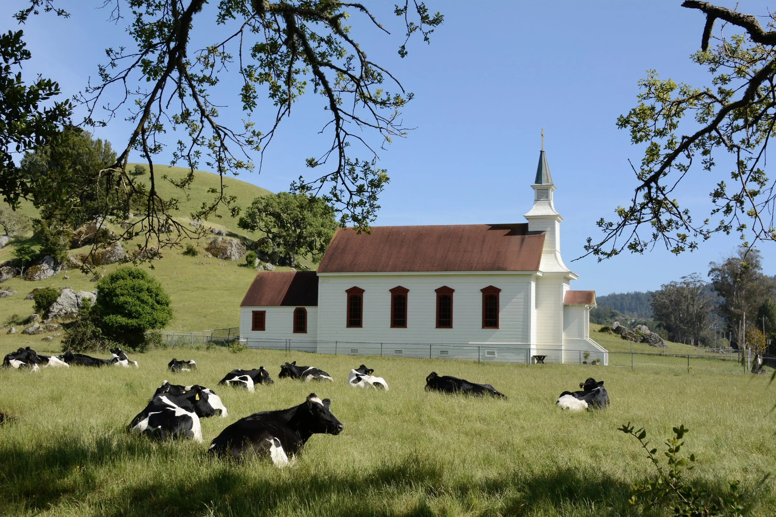 A Peaceful Setting, Nicasio.JPG