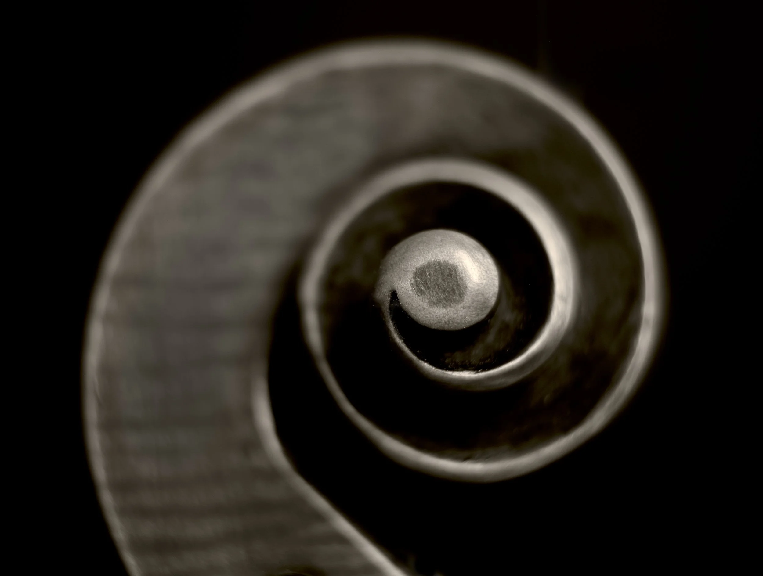 Viola scroll vla copy.jpg