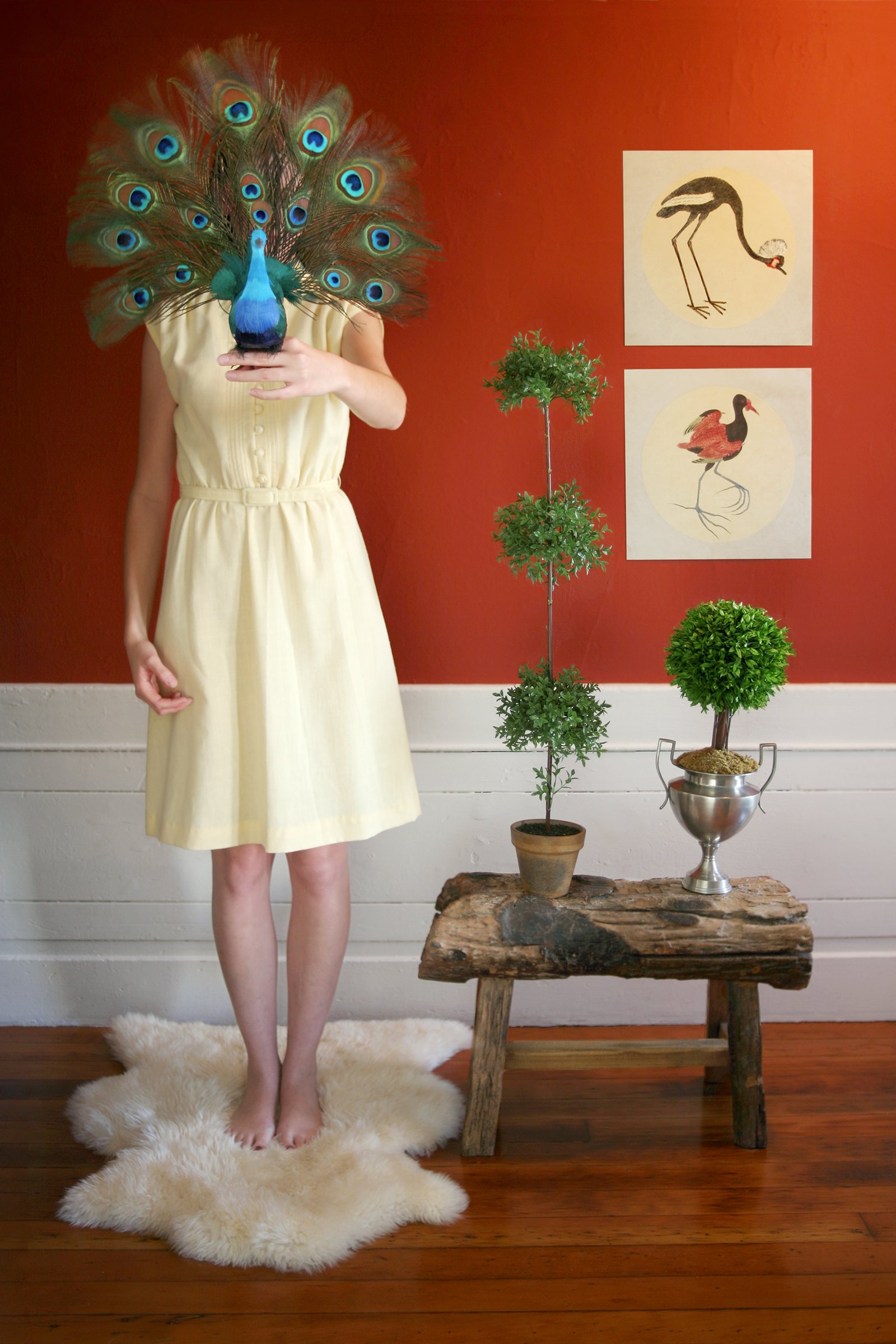peacocklady.jpg