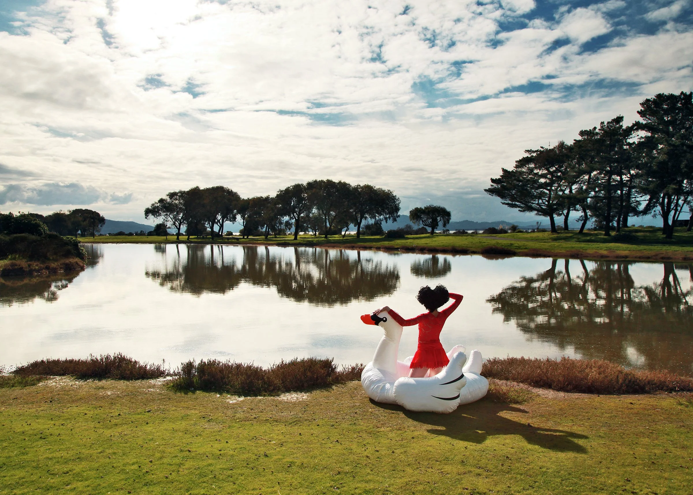 swanlake.jpg