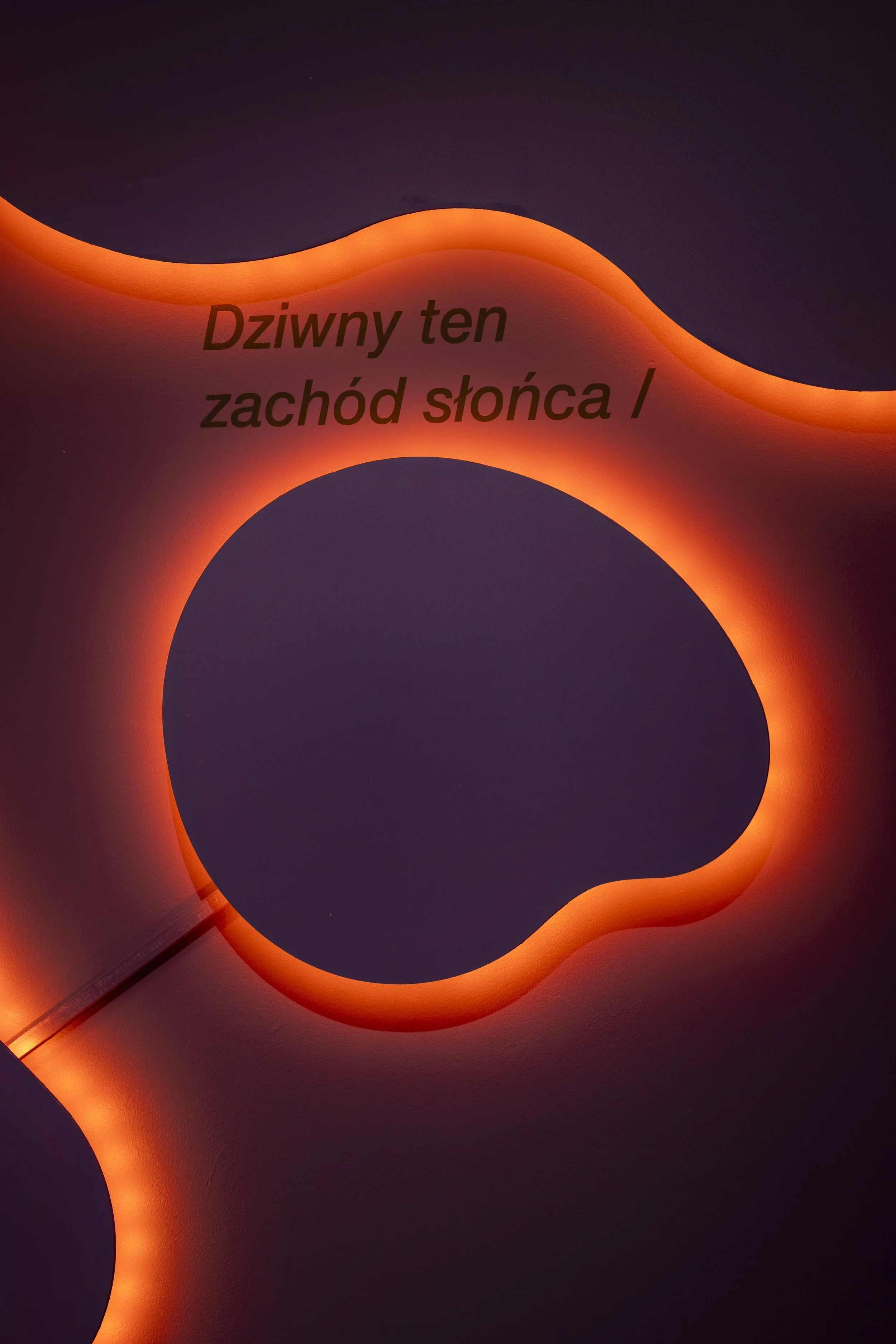 7_The_Coordinates_ph_alicjakielan.jpg