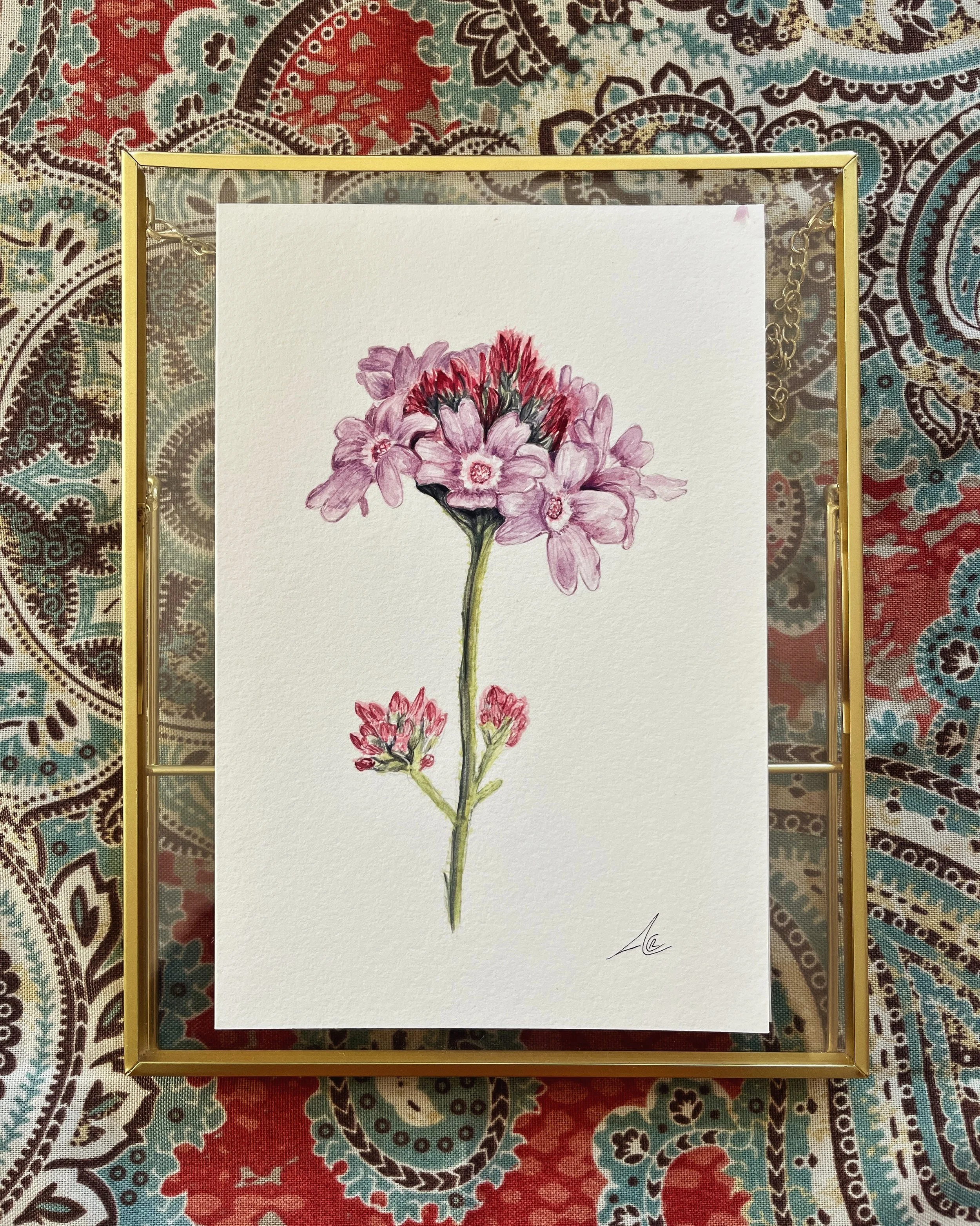 De La Mina Verbena Watercolor: Behind the Scenes of a California Native Flower Painting