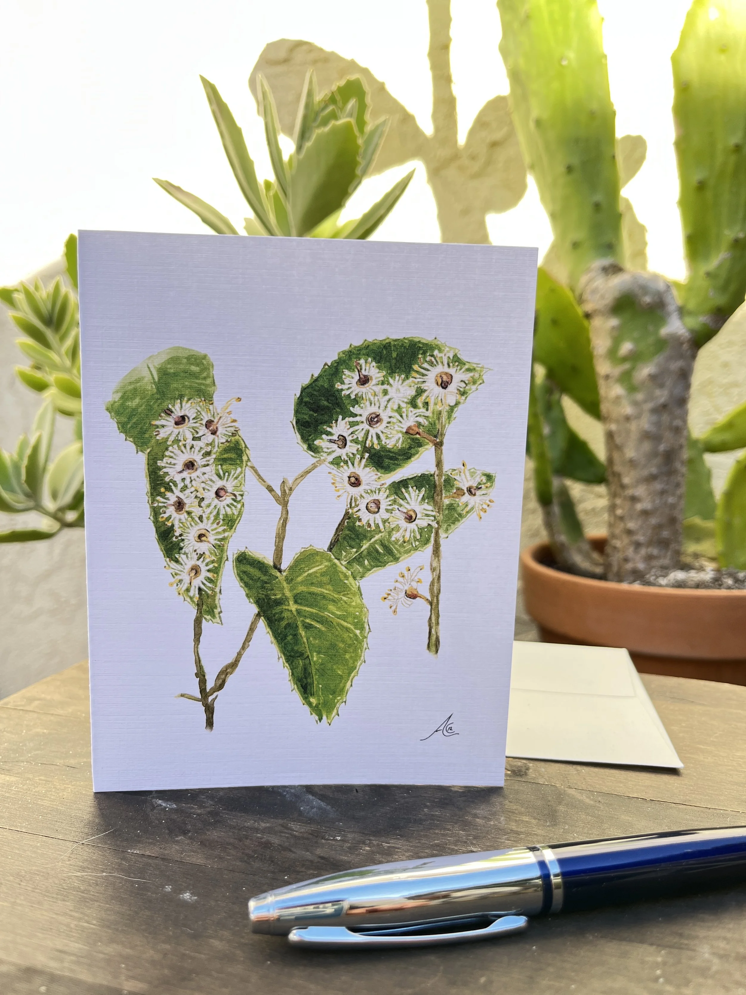 Greeting Cards: California Native Plants Hollyleaf Cherry