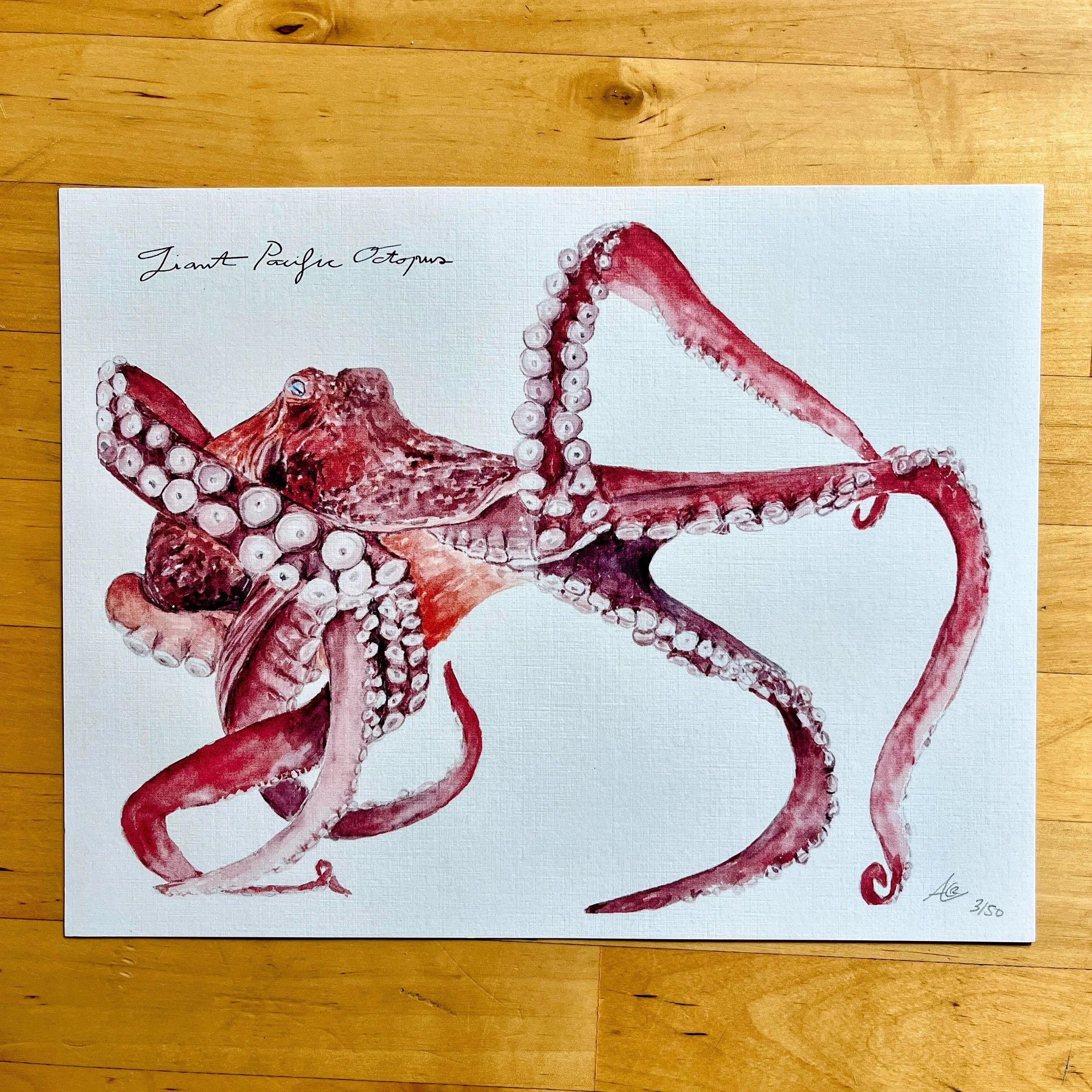 Limited Edition of Signed Prints From My Watercolors: Octopus
