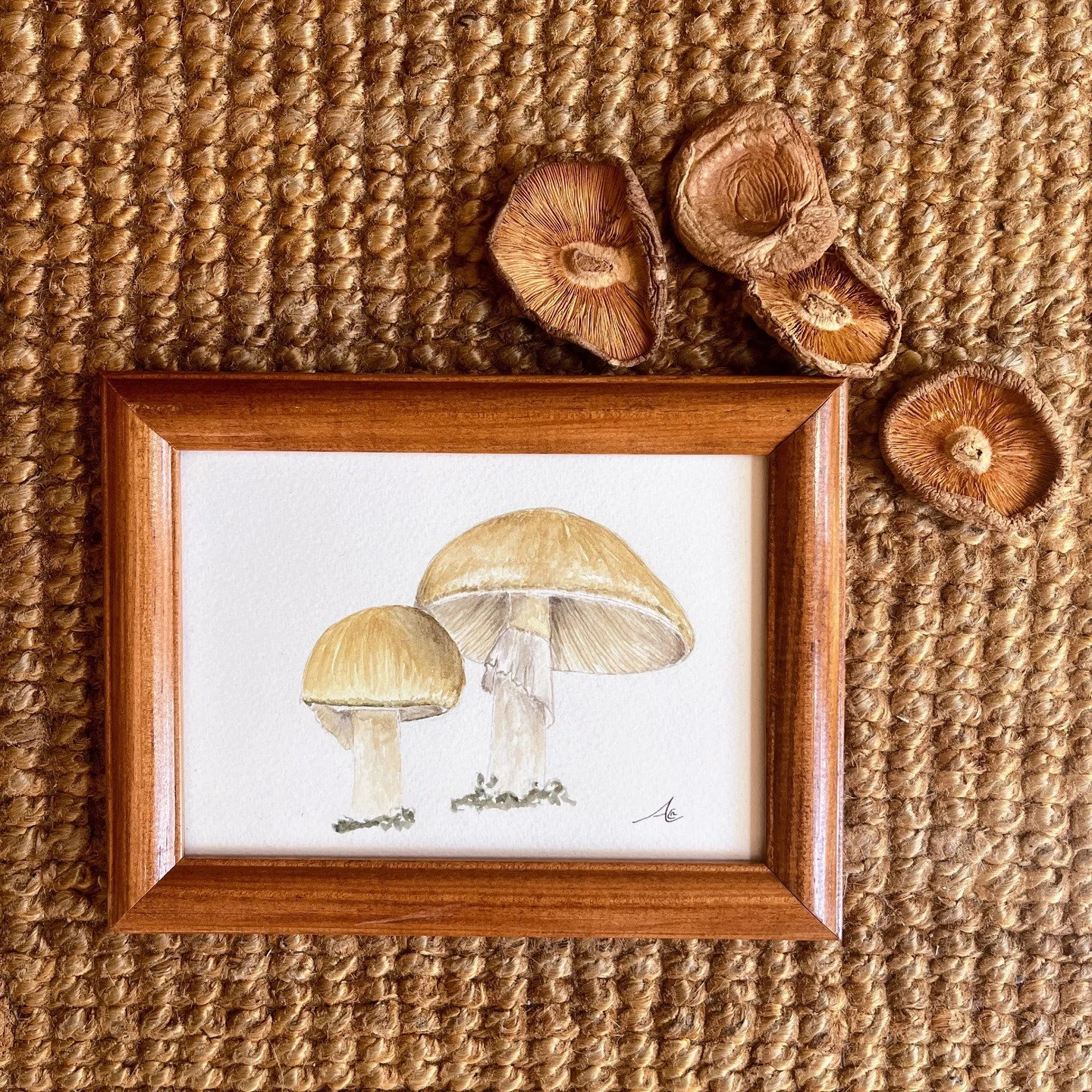 Add a forest accent to your home with this original Amanita phalloides watercolor.

Known as the &ldquo;death cap,&rdquo; this mushroom is striking in appearance and beautifully captured in watercolor. Framed and ready to hang.

Infamous for its pote