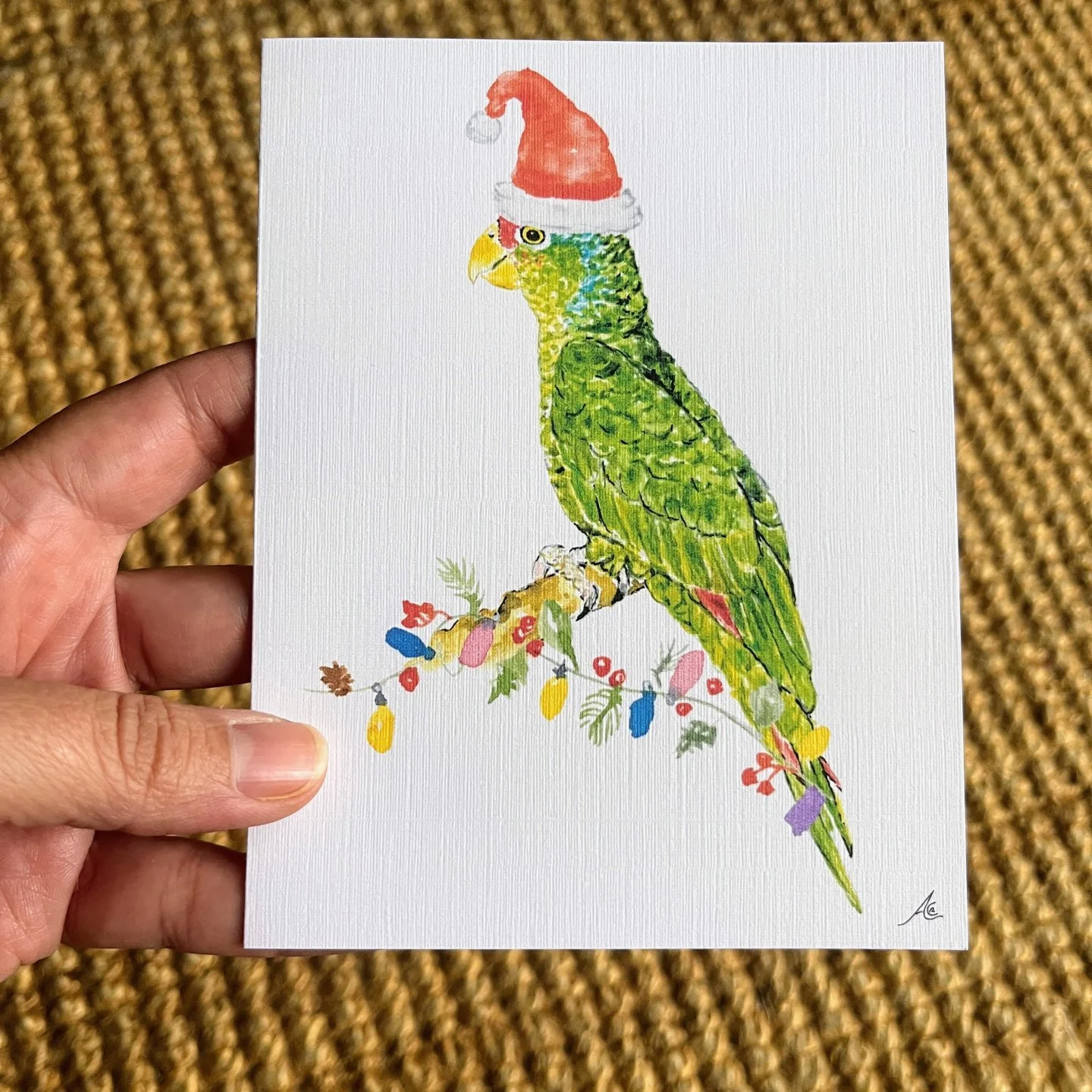 🎄 Holiday Surprise! 🦜

This year, I created new holiday watercolor motifs to pair with one of our most beloved locals: the Red-Crowned Amazon parrot we often see here in San Diego. I painted this dear bird and dressed them up for the festivities!

