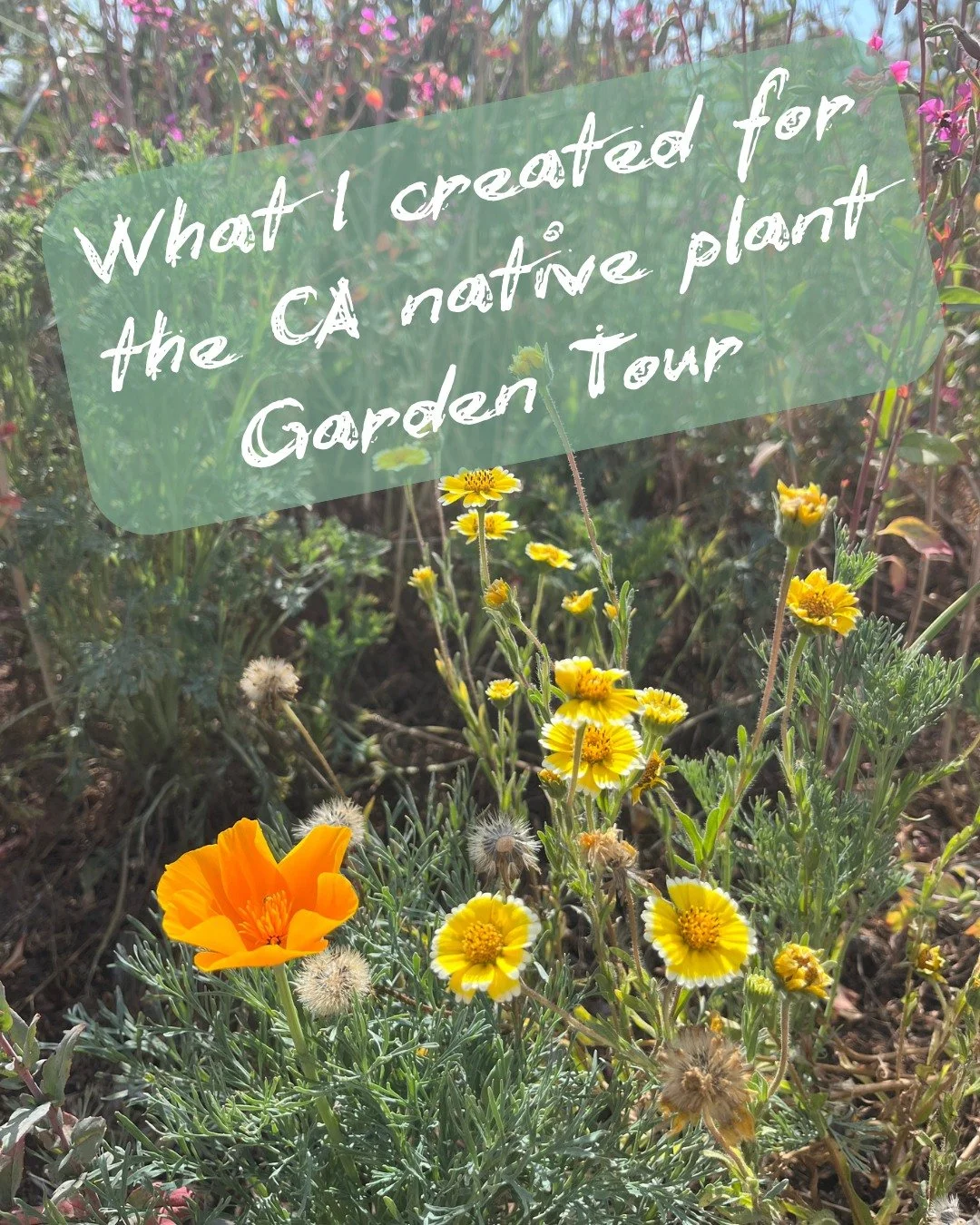 This weekend, my work returns to where it begins, to the gardens of California native plants!!

I am finishing a collection of butterflies as a CA native plant pollinator theme. Be ready for pins, pouches, original watercolors, and prints...of your f