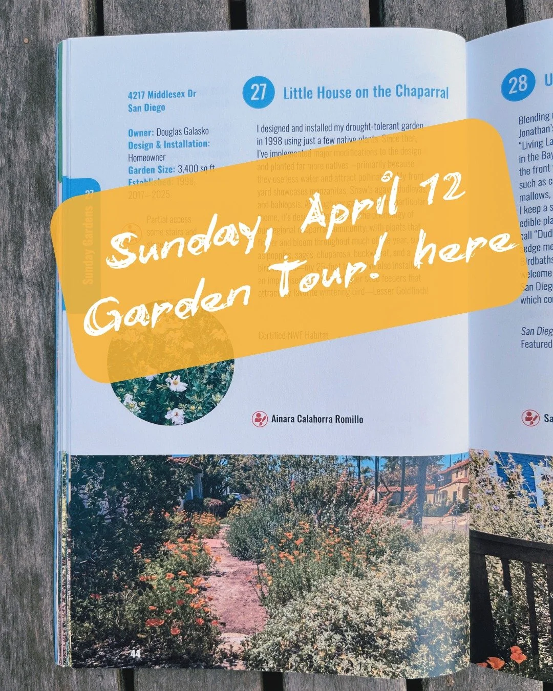 On Sunday, I will be at Little House on the Chaparral 🌿

GARDEN # 27 of the tour

The owner, Doug, designed this garden to follow the rhythms of the chaparral, with species that bloom and shift throughout the year.
This garden supports pollinators, 