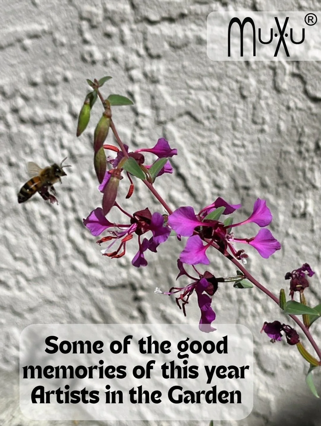 Some of the good memories from the 2026 Native Garden Tour with the California Native Plant Society to celebrate earth month.

It always felt special and meaningful to bring the original watercolors and the creations made from them to the gardens whe