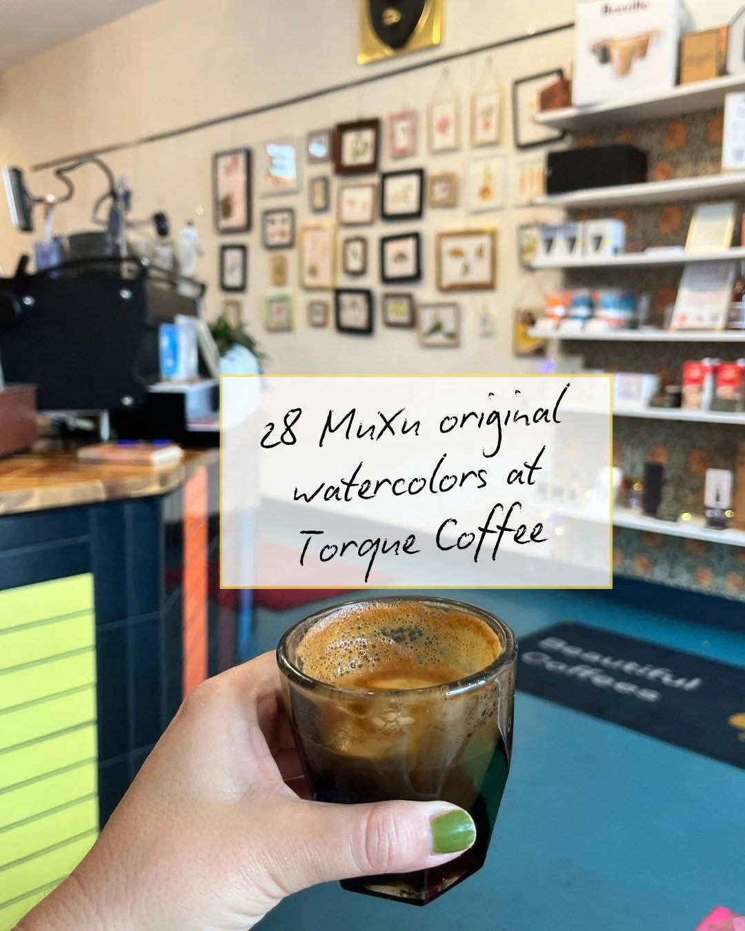 Come while it's on display! Original Watercolors of San Diego nature at Torque! Only a few more days!

I am incredibly grateful for this opportunity and am looking forward to you visiting! 

They support artists, care about coffee, fair trade, and fa