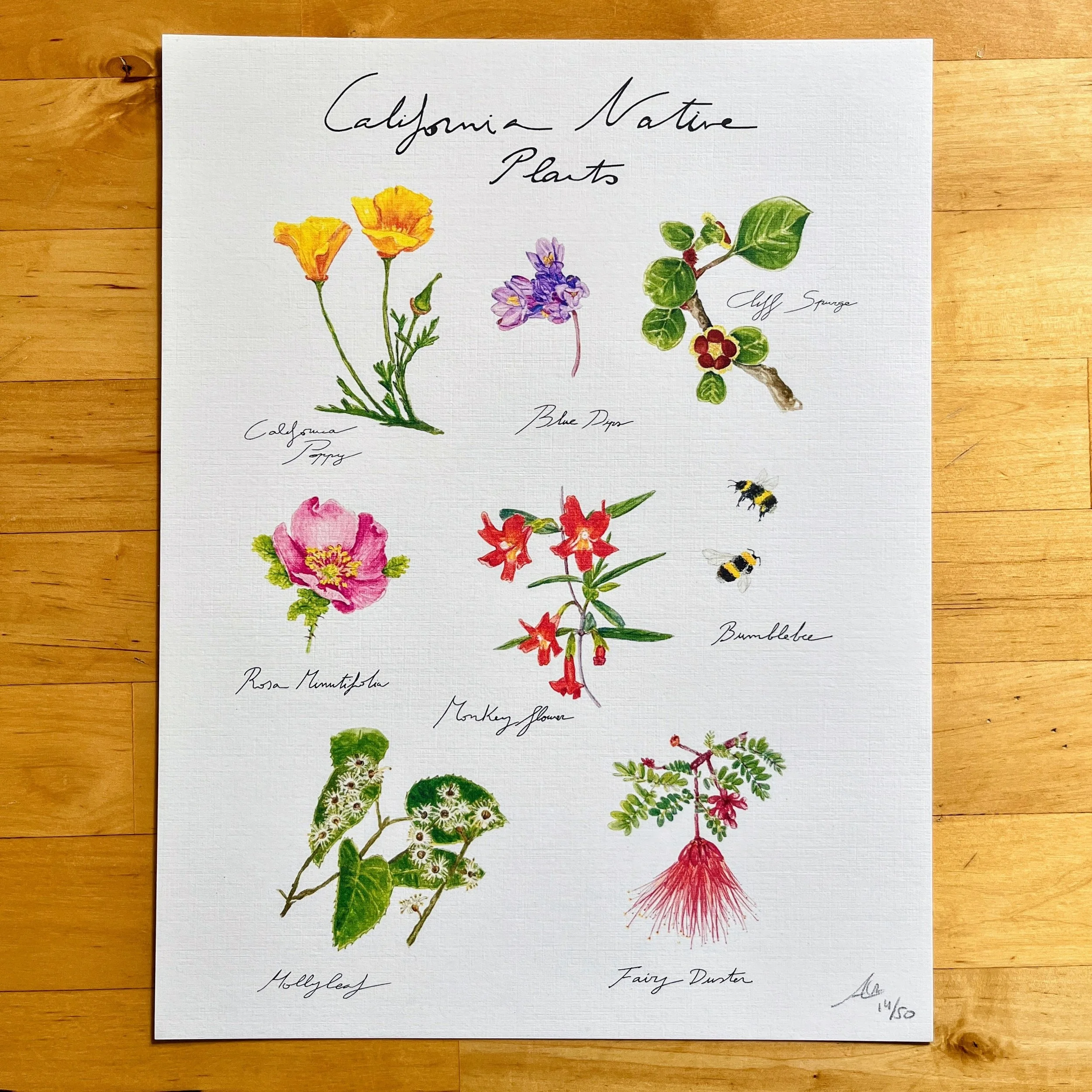 Limited Edition of Signed Prints From My Watercolors: California Native Flowers (vertical)