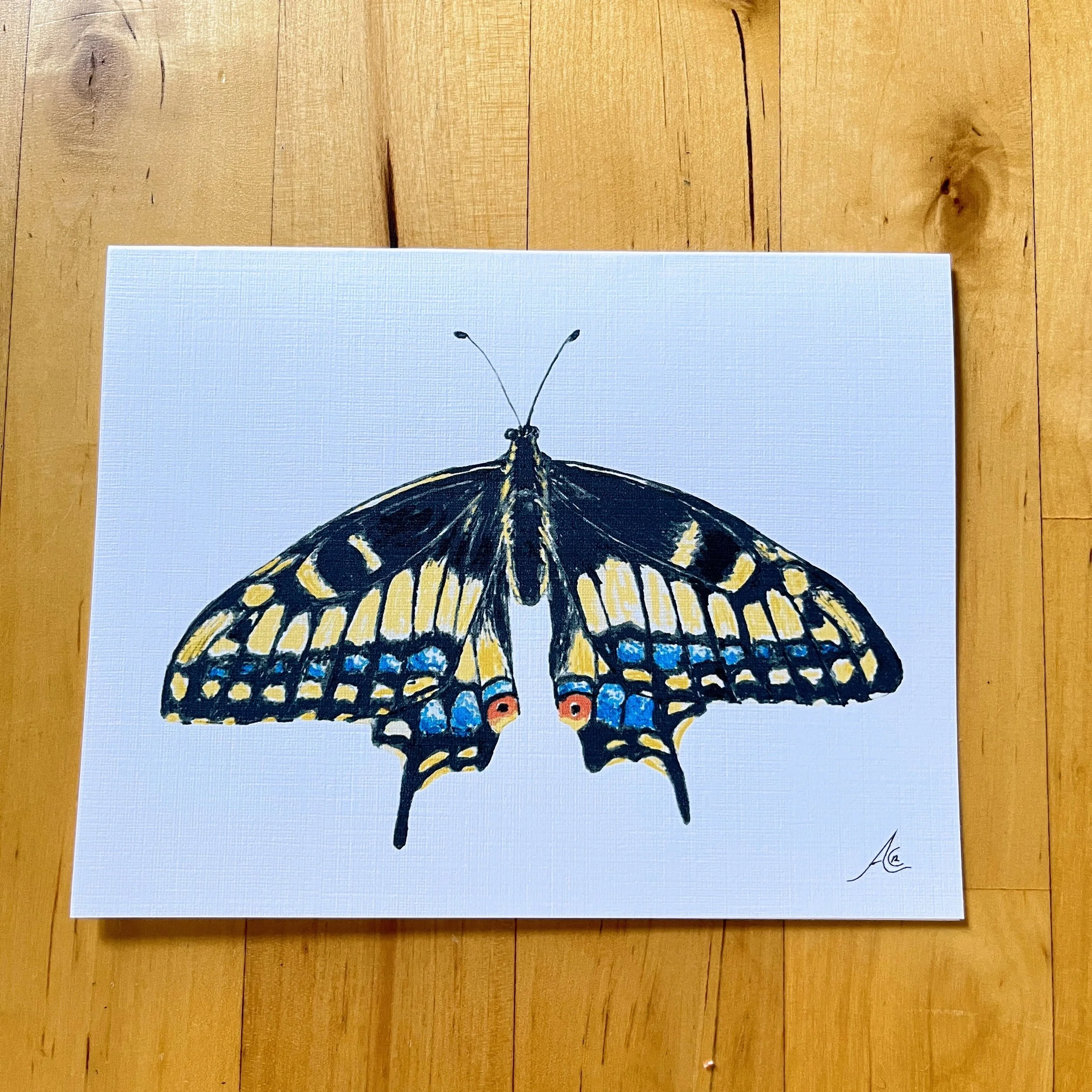 Butterflies Collection: Greeting Cards From Watercolors, Anise Swallowtail