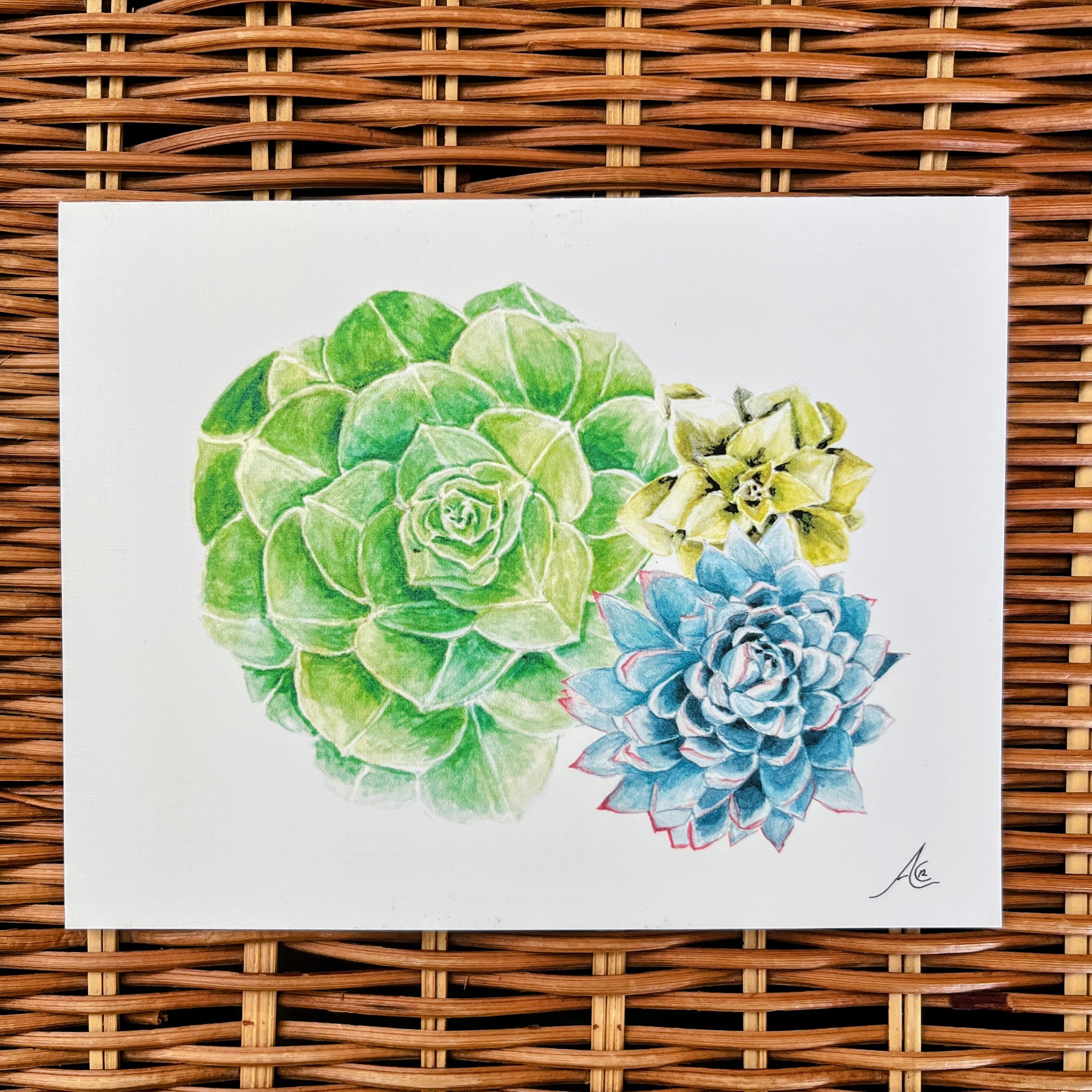 Greeting Cards: Succulents