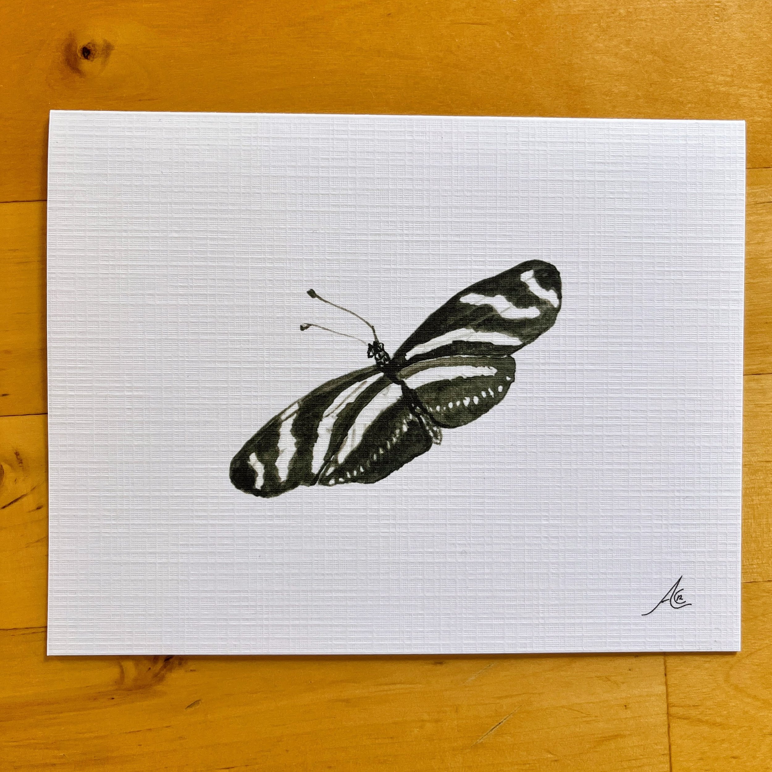 Butterflies Collection: Greeting Cards From Watercolors, Zebra Longwing