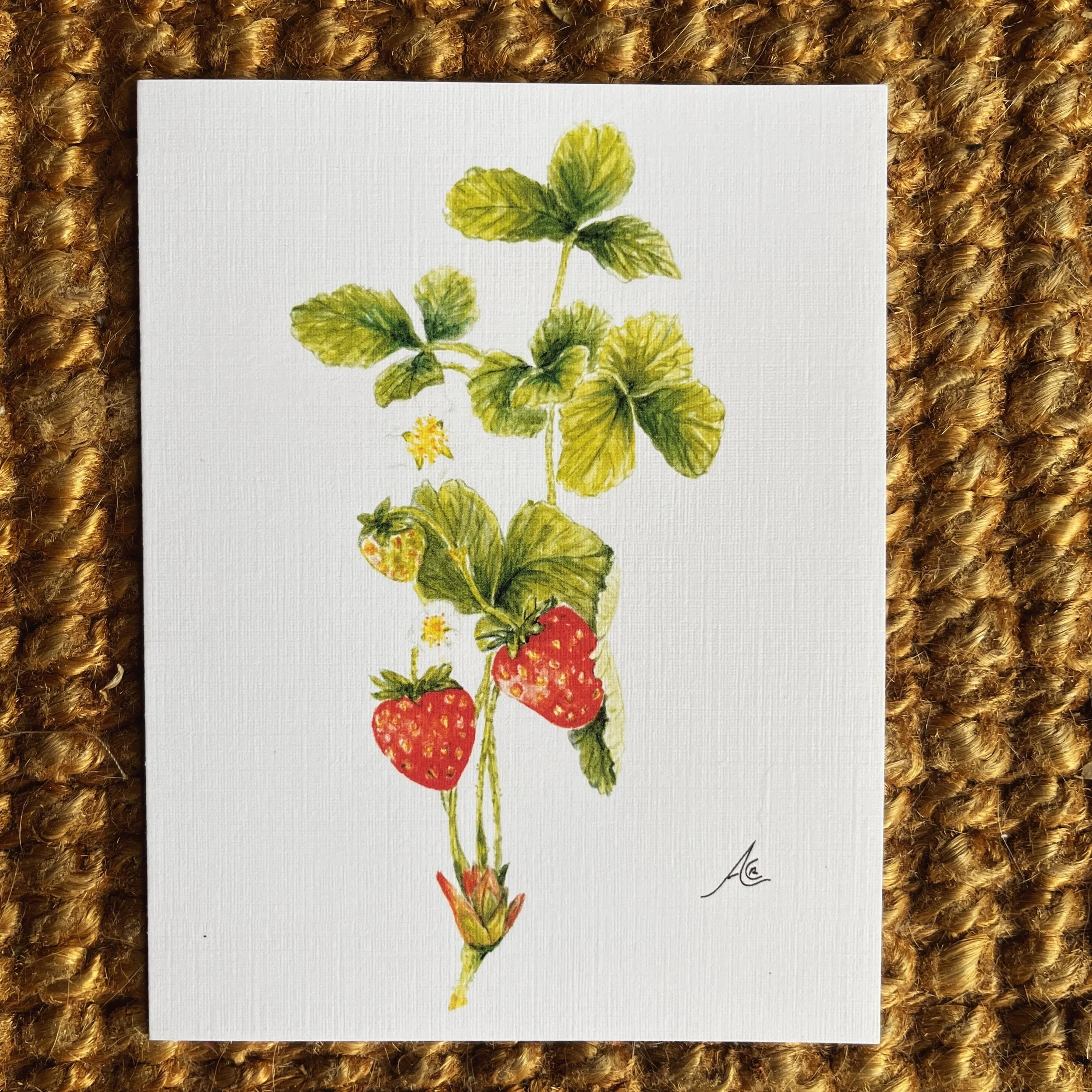 Botanical Strawberries Greeting Card from Watercolor 3