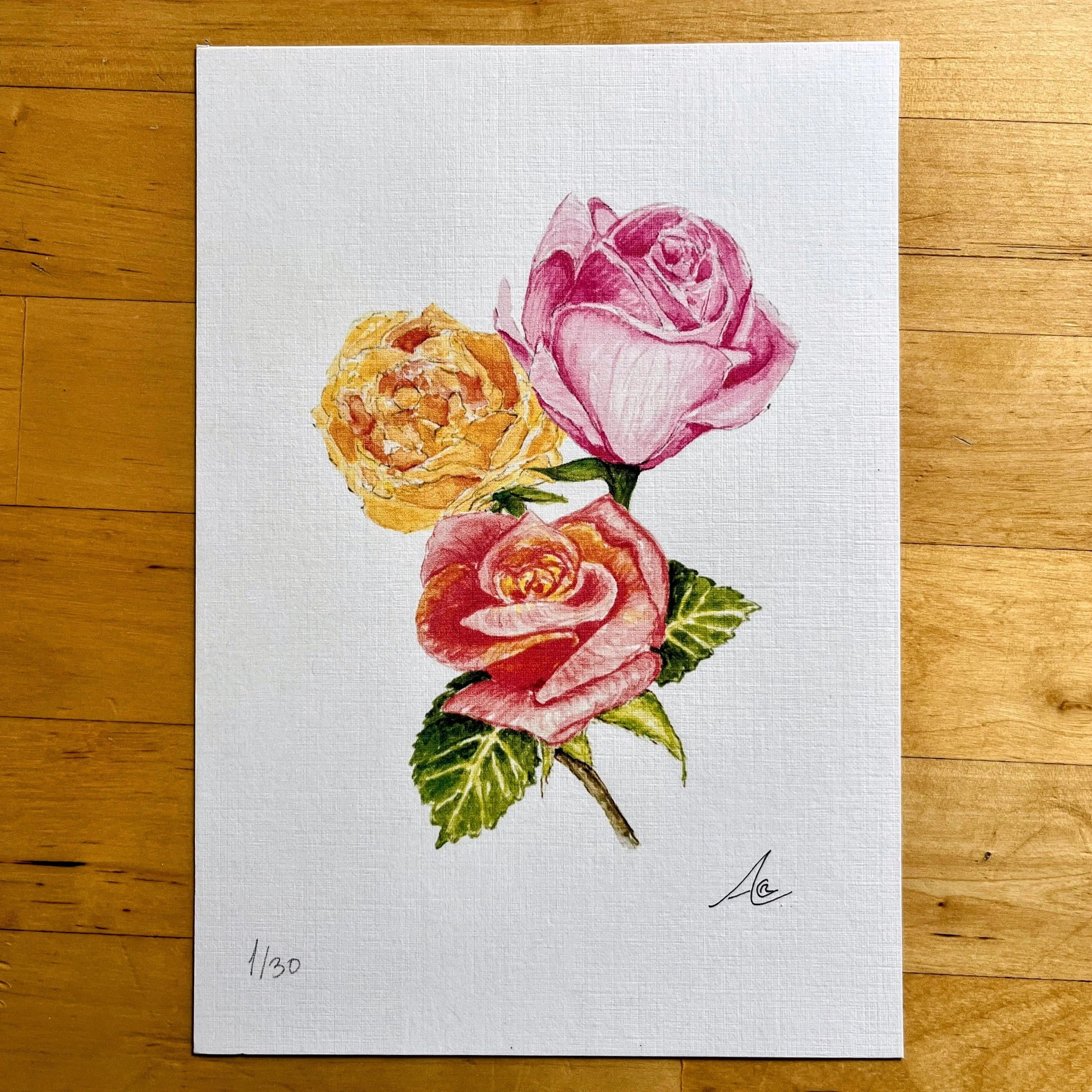 Limited Edition of Signed Prints From My Watercolors: Roses