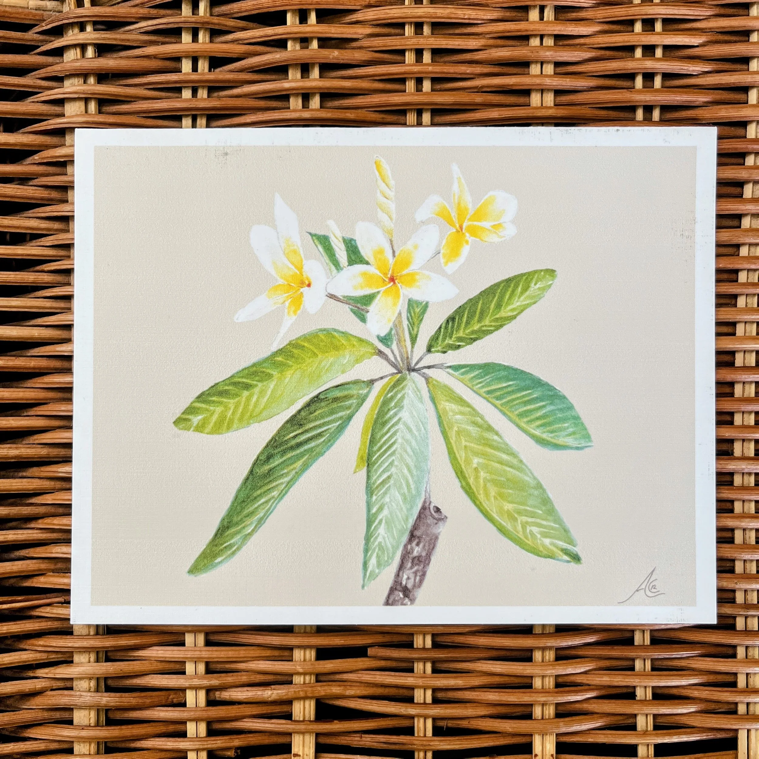Greeting Cards: Plumeria