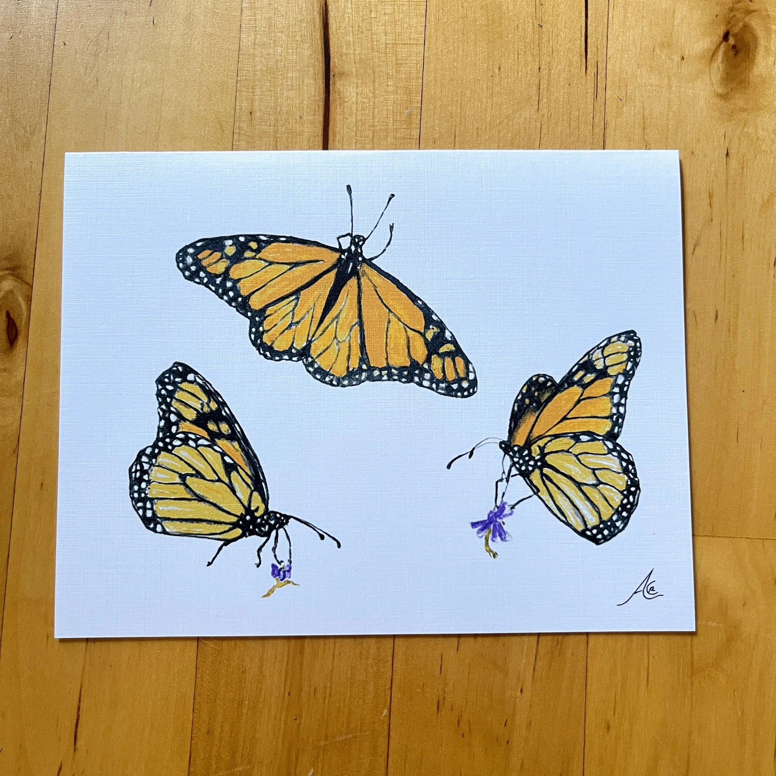 Butterflies Collection: Greeting Cards From Watercolors, Three Monarchs