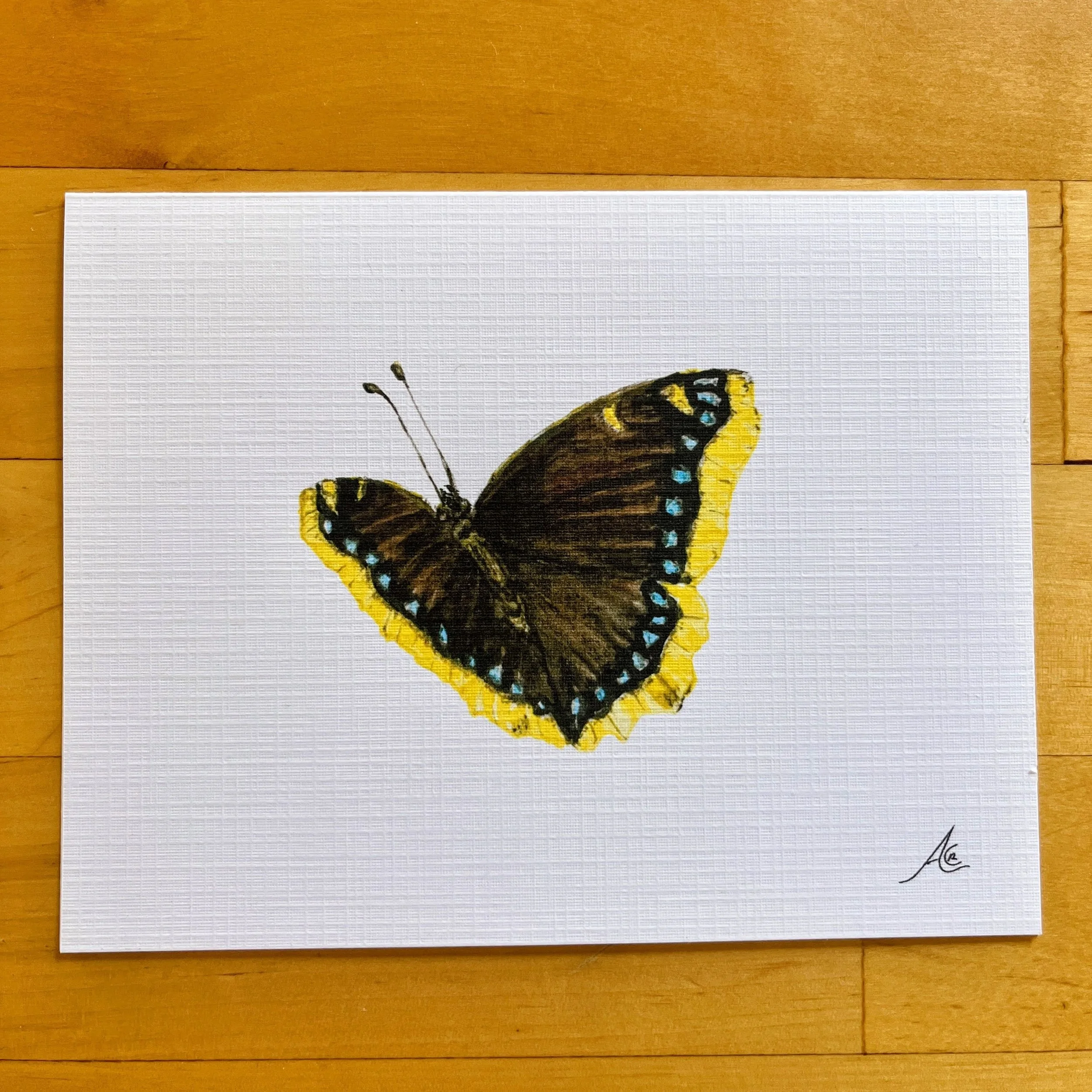 Butterflies Collection: Greeting Cards From Watercolors, Mourning Cloak