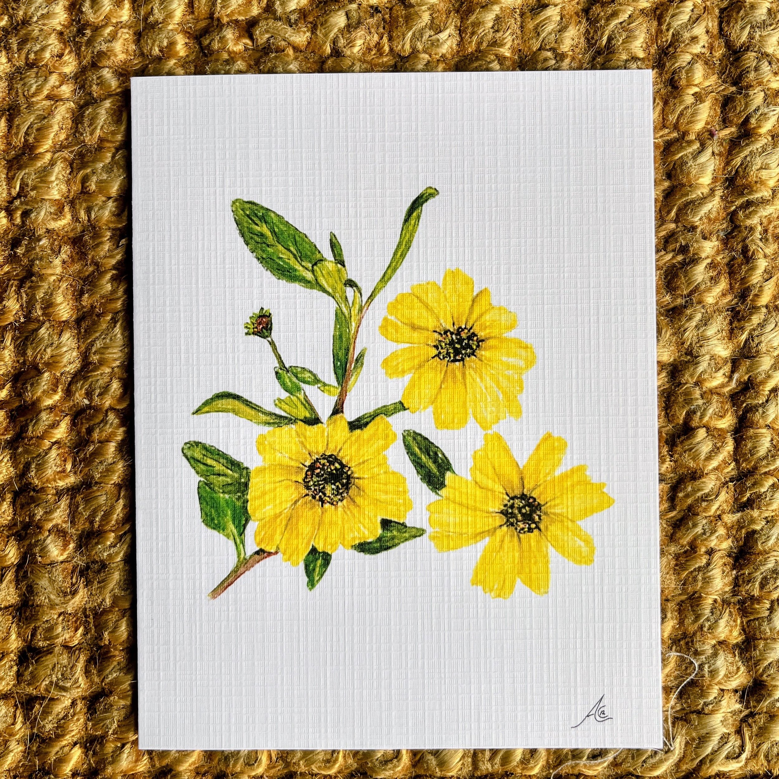 California Native Plants: Greeting Cards From Watercolors, California Sunflower (Encelia californica)