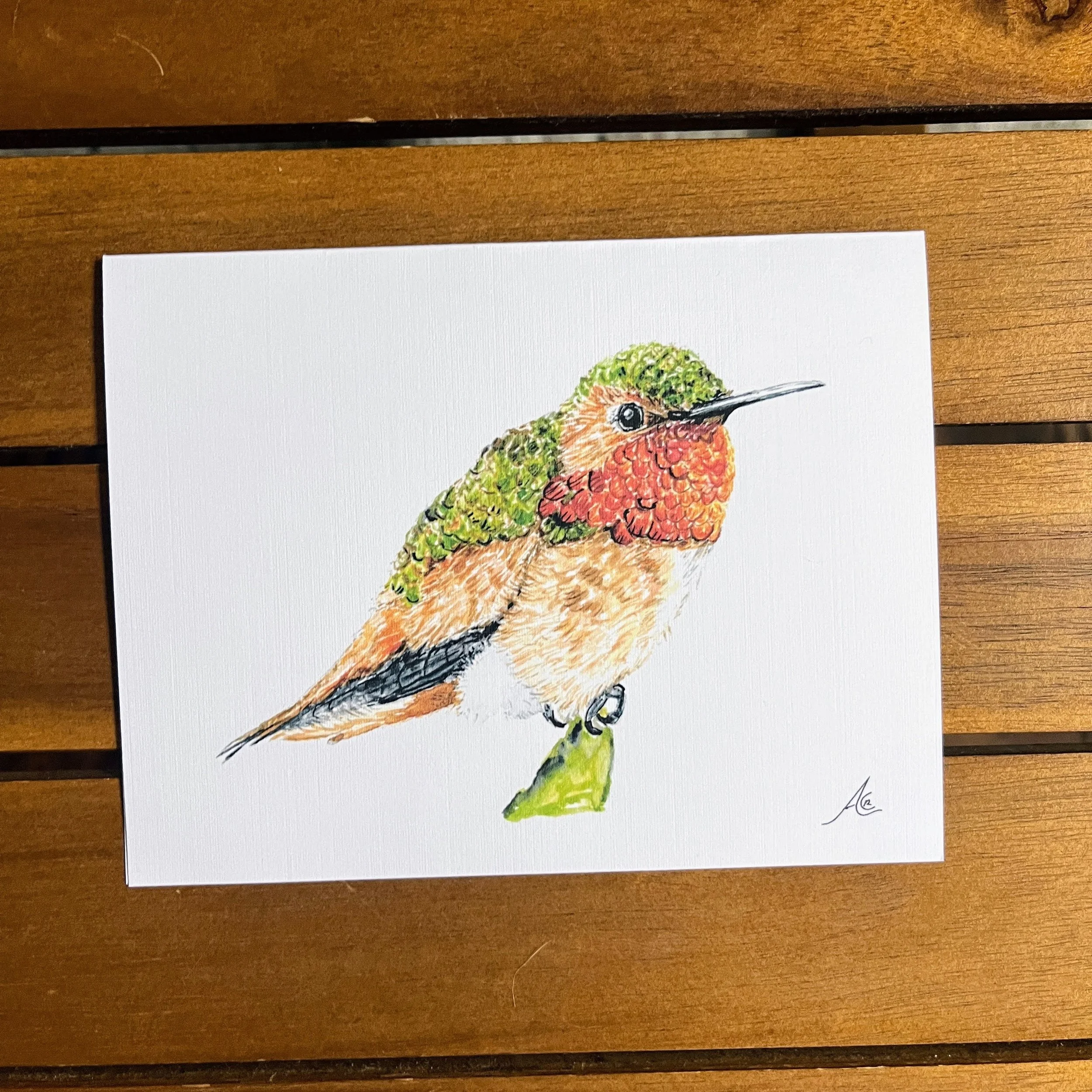 Greeting Cards Birds: Allen’s Hummingbird