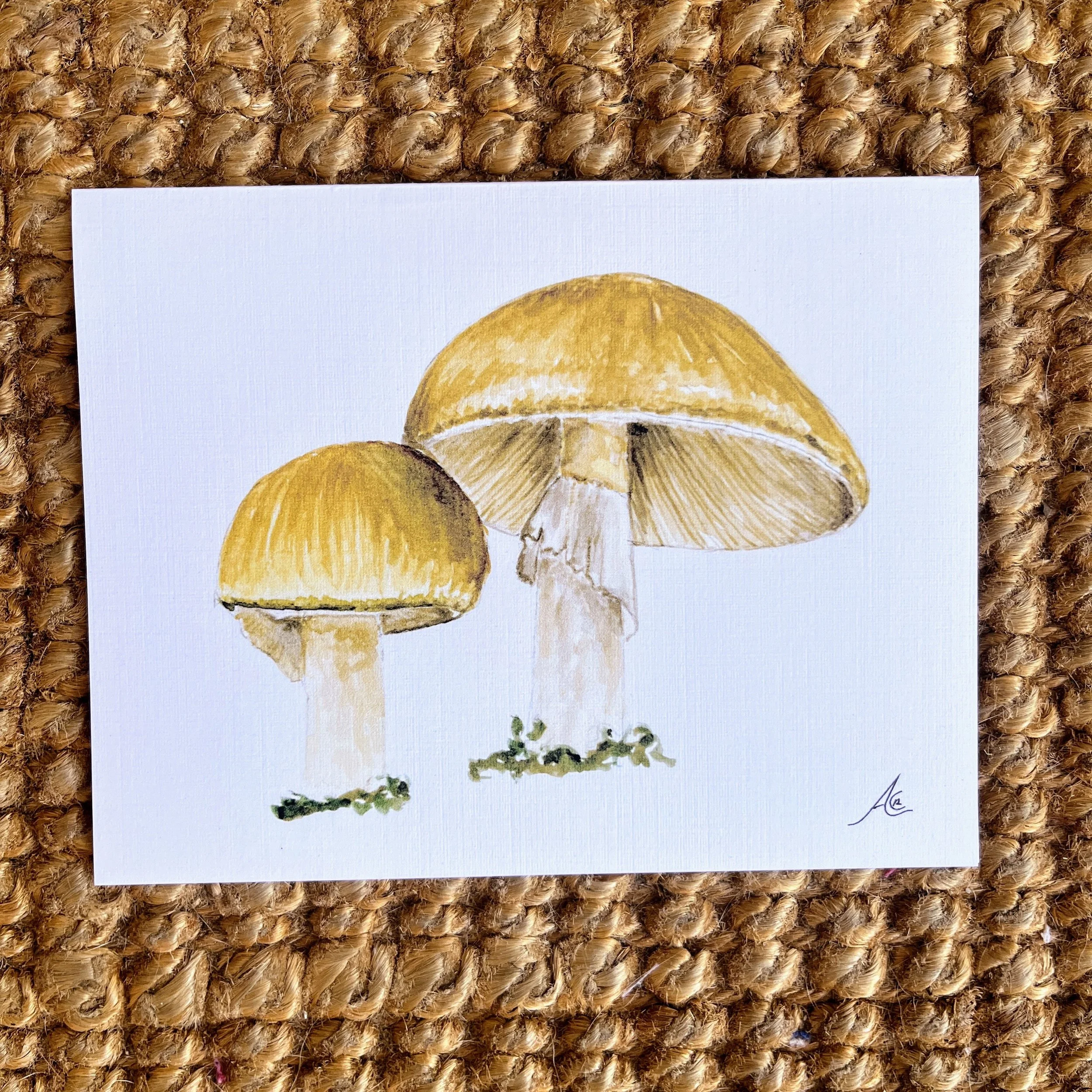 Mushroom Collection: Greeting Cards from Watercolors (Amanita Phalloides, No Edible)