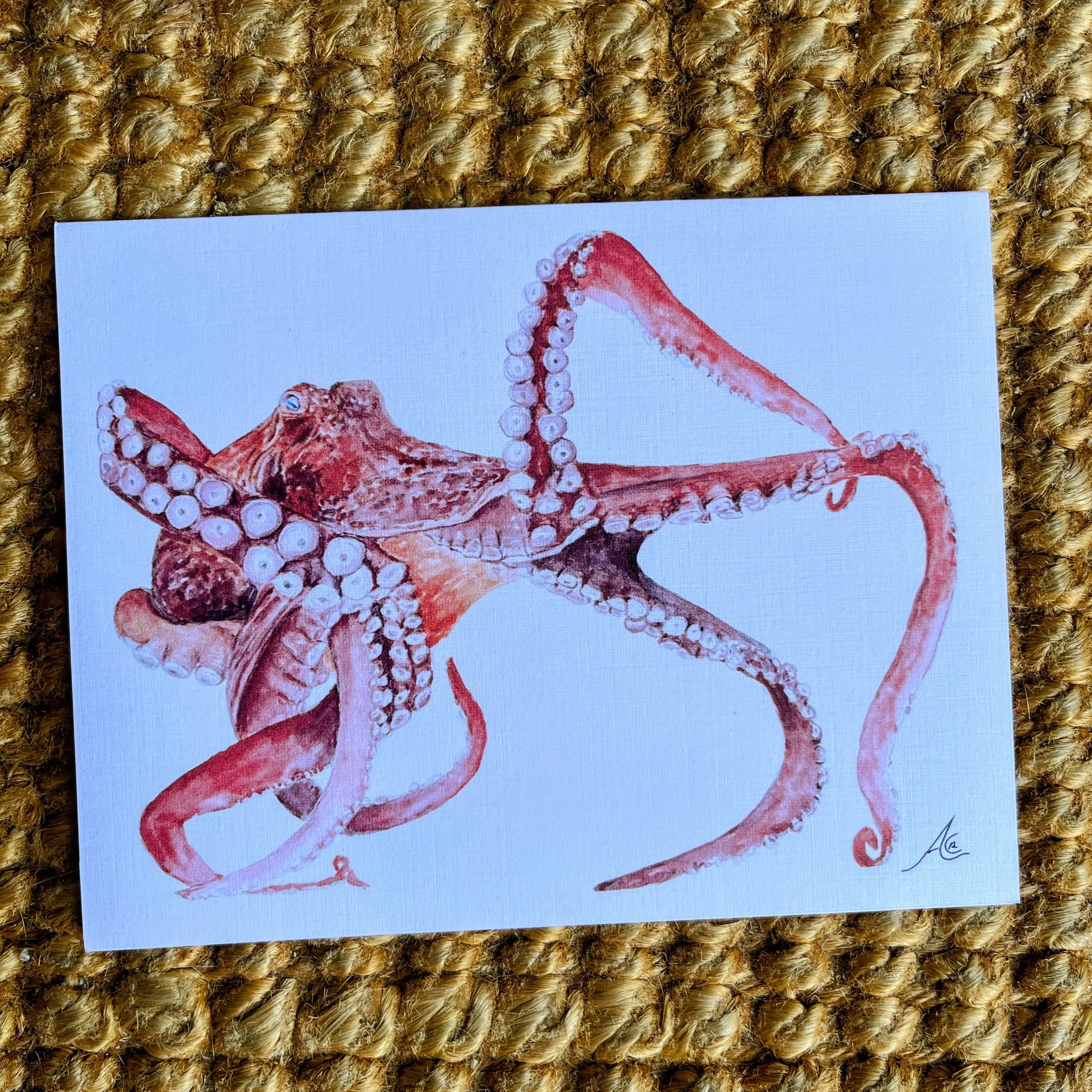 Greeting Cards California Shores, Ocean: Giant Pacific Octopus