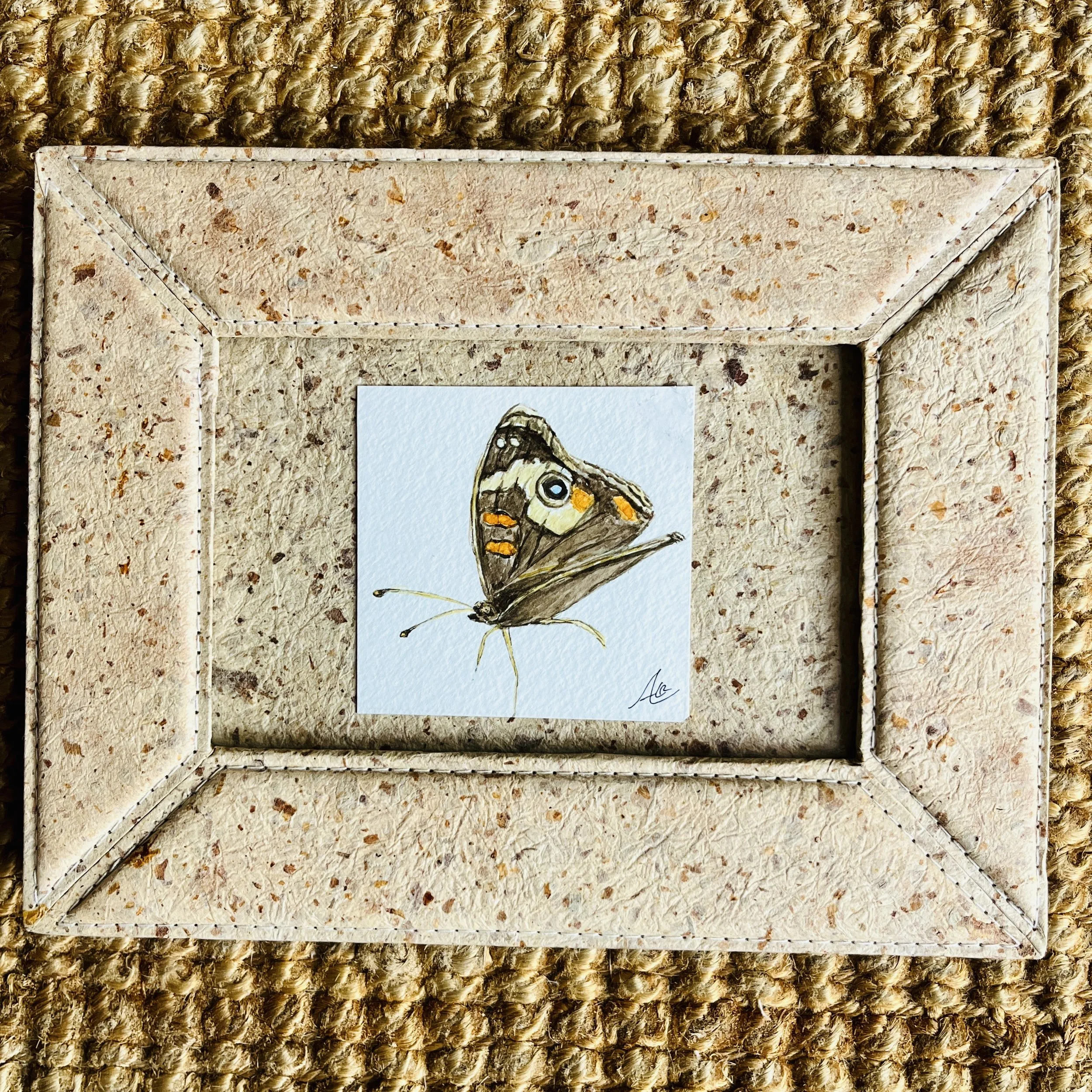 Original Watercolor Painting (Framed): Common Buckeye