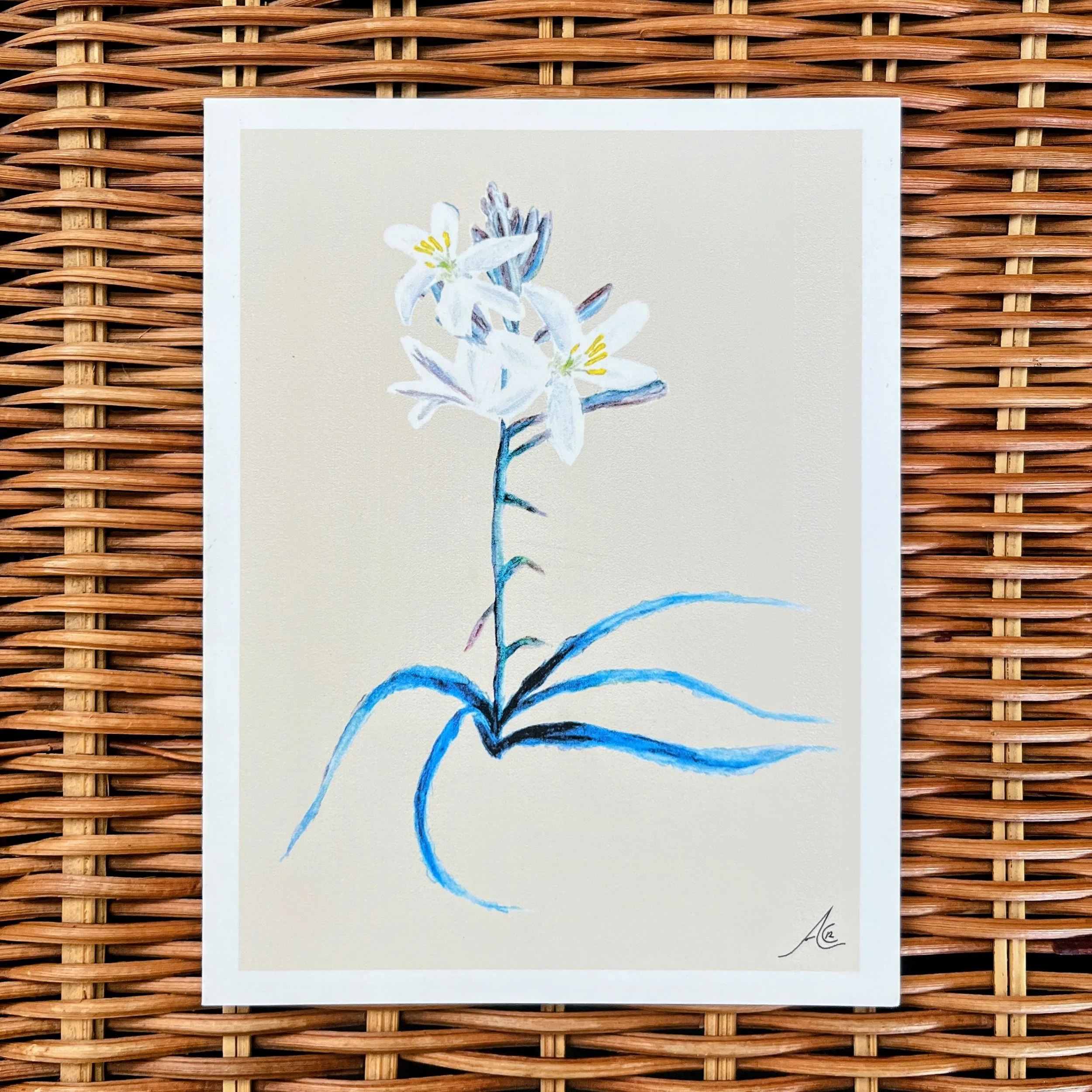 Greeting Cards: Dessert Lily