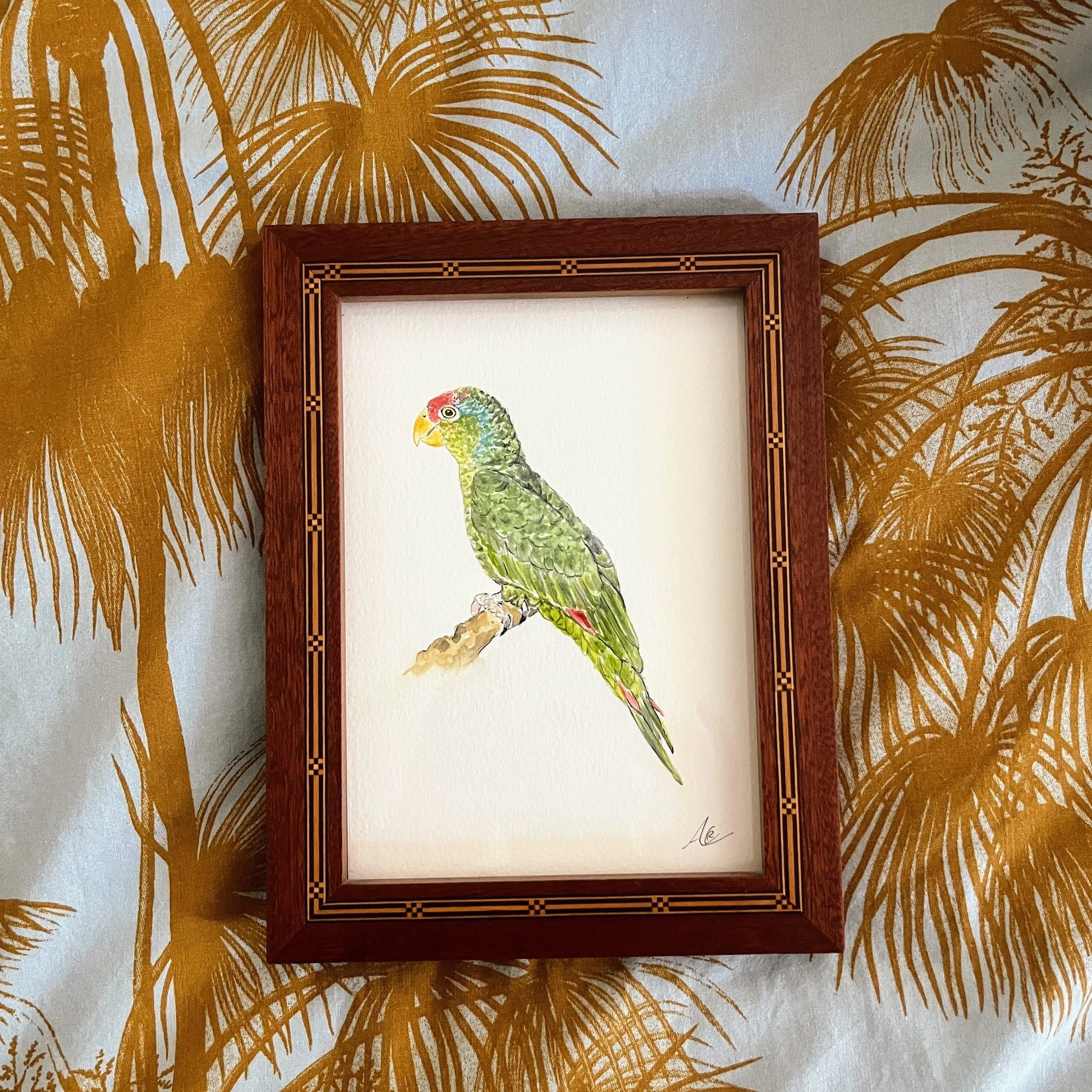 Original Watercolor Painting (Framed): Red-crowned Parrot