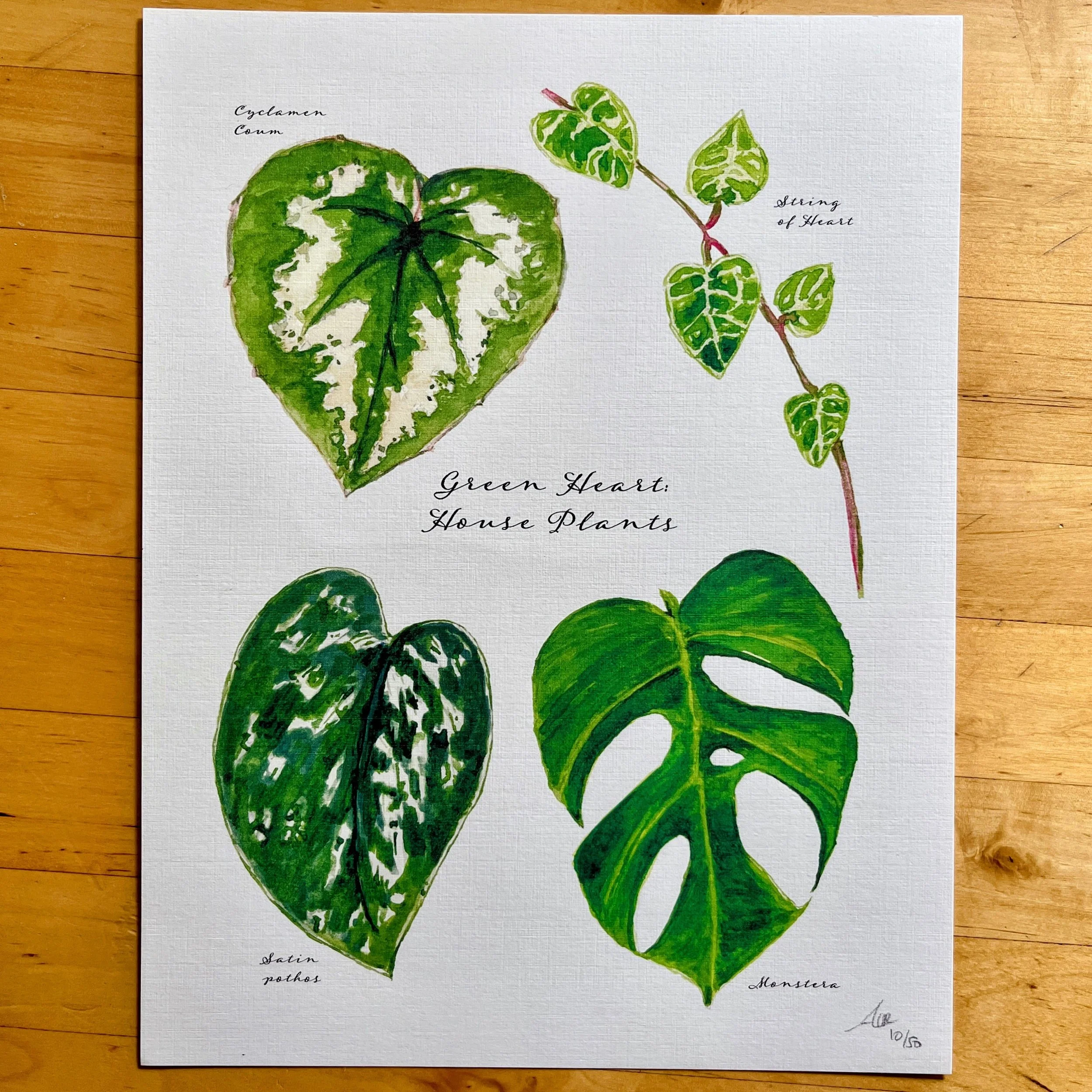 Limited Edition of Signed Prints From My Watercolors: Plants