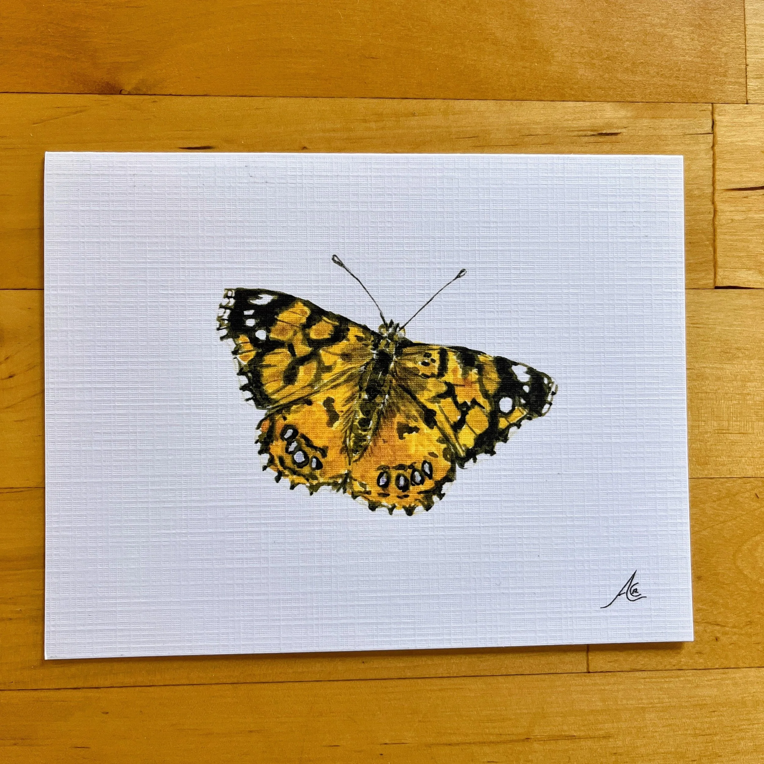 Butterflies Collection: Greeting Cards From Watercolors, West Coast Lady
