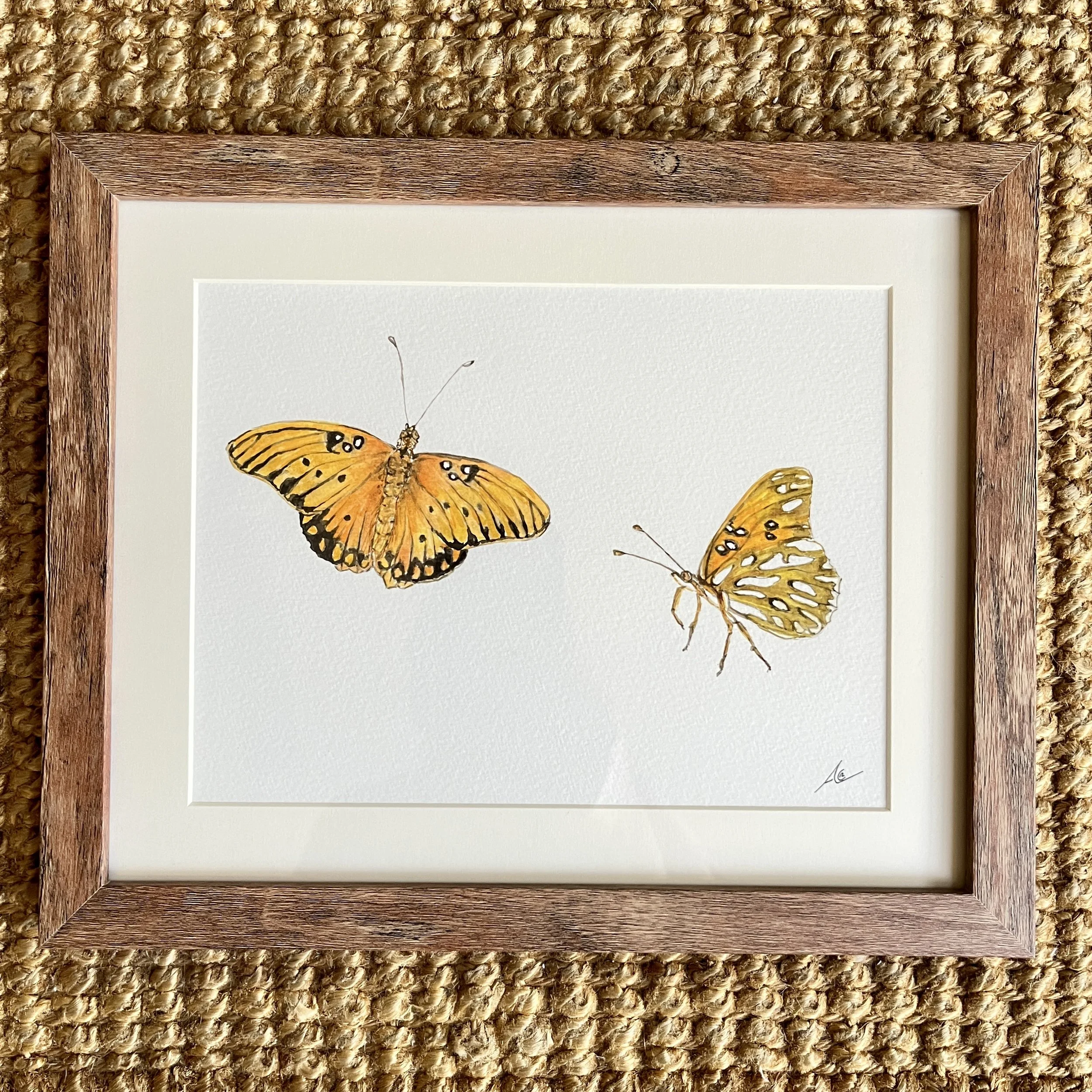 Original Watercolor Painting (Framed): Gulf Fritillary Or Passion Butterfly
