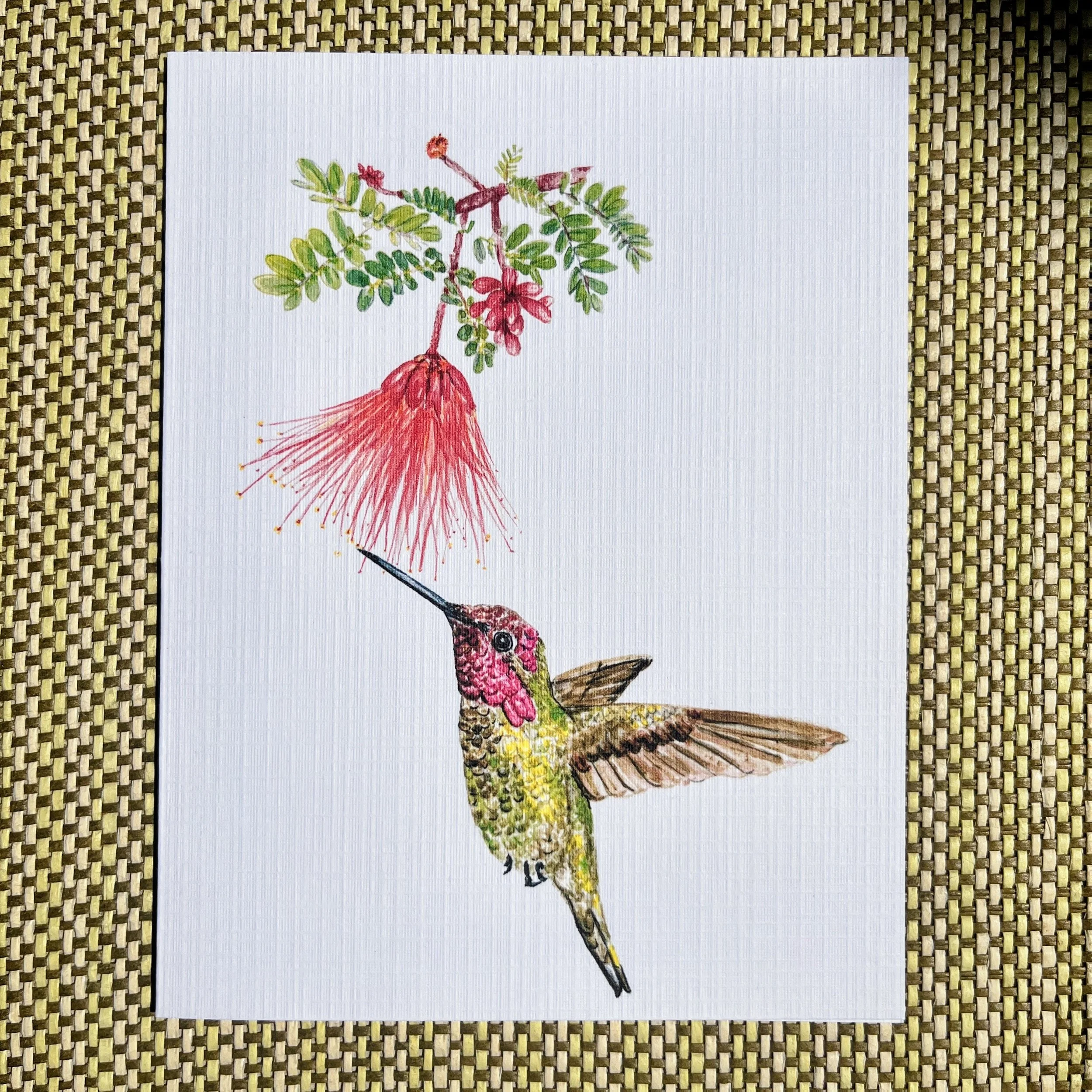 Pollinators Collection: Greeting Cards From Watercolors,  Fairy Duster and Anna's Hummingbird