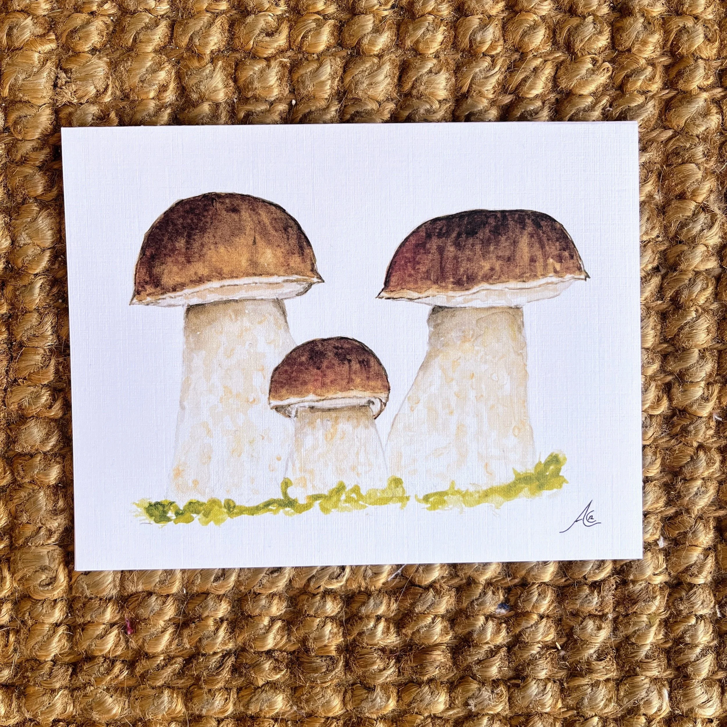 Mushroom Collection: Greeting Cards from Watercolors (Penny Bun, Boletus Edulis)