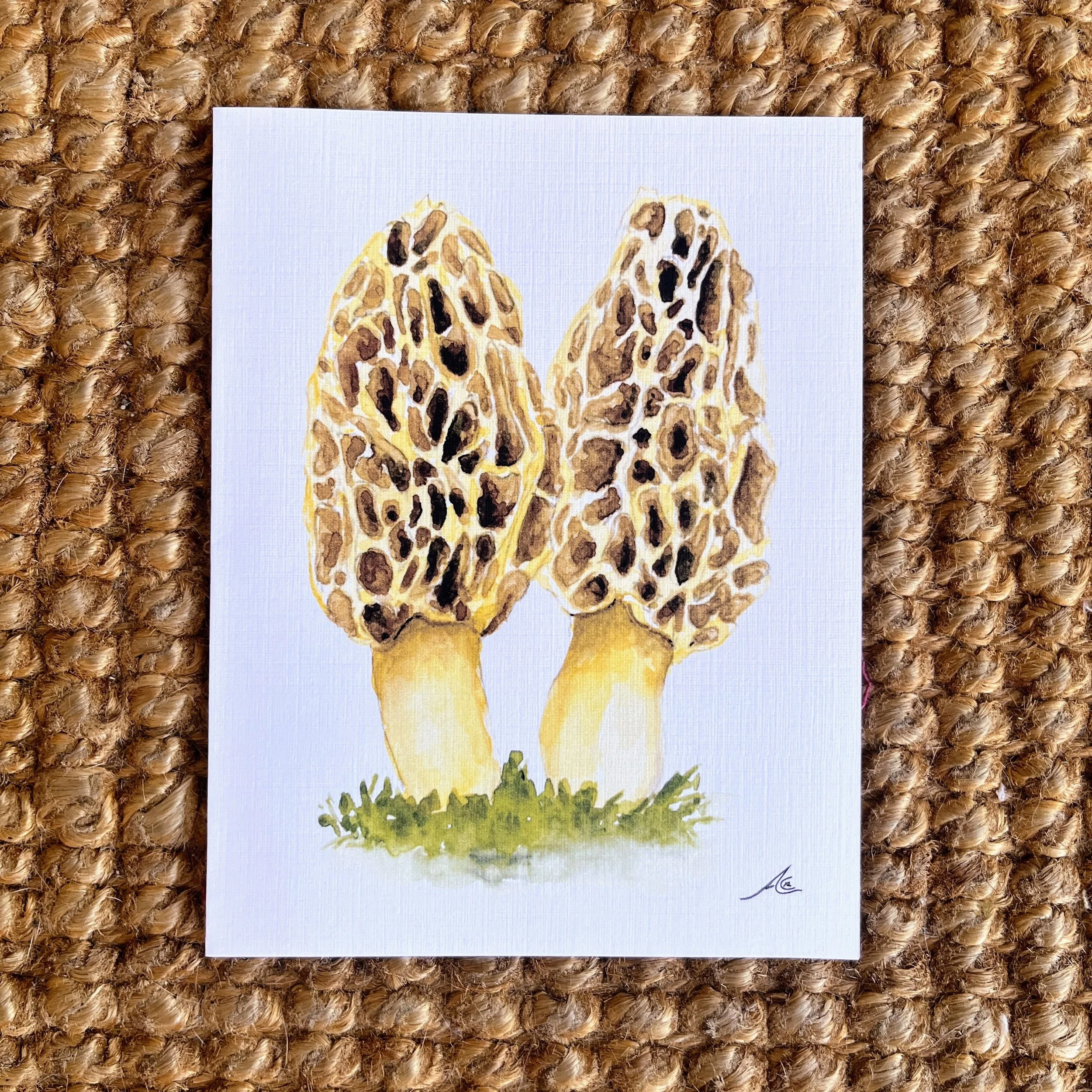 Mushroom Collection: Greeting Cards from Watercolors (Morel Blonde, Morchella Americana)